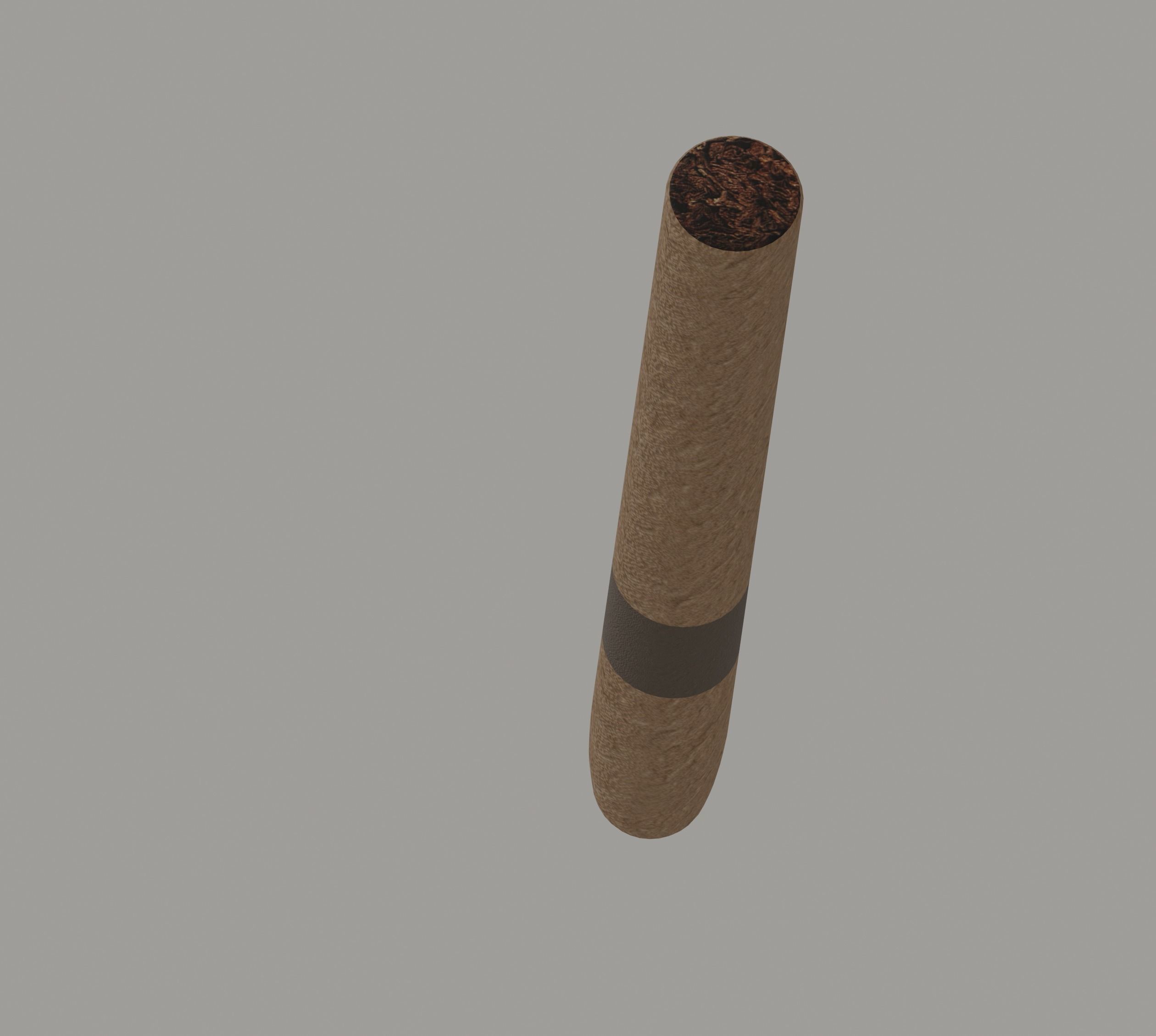 Cigar Low-poly 3D model_6