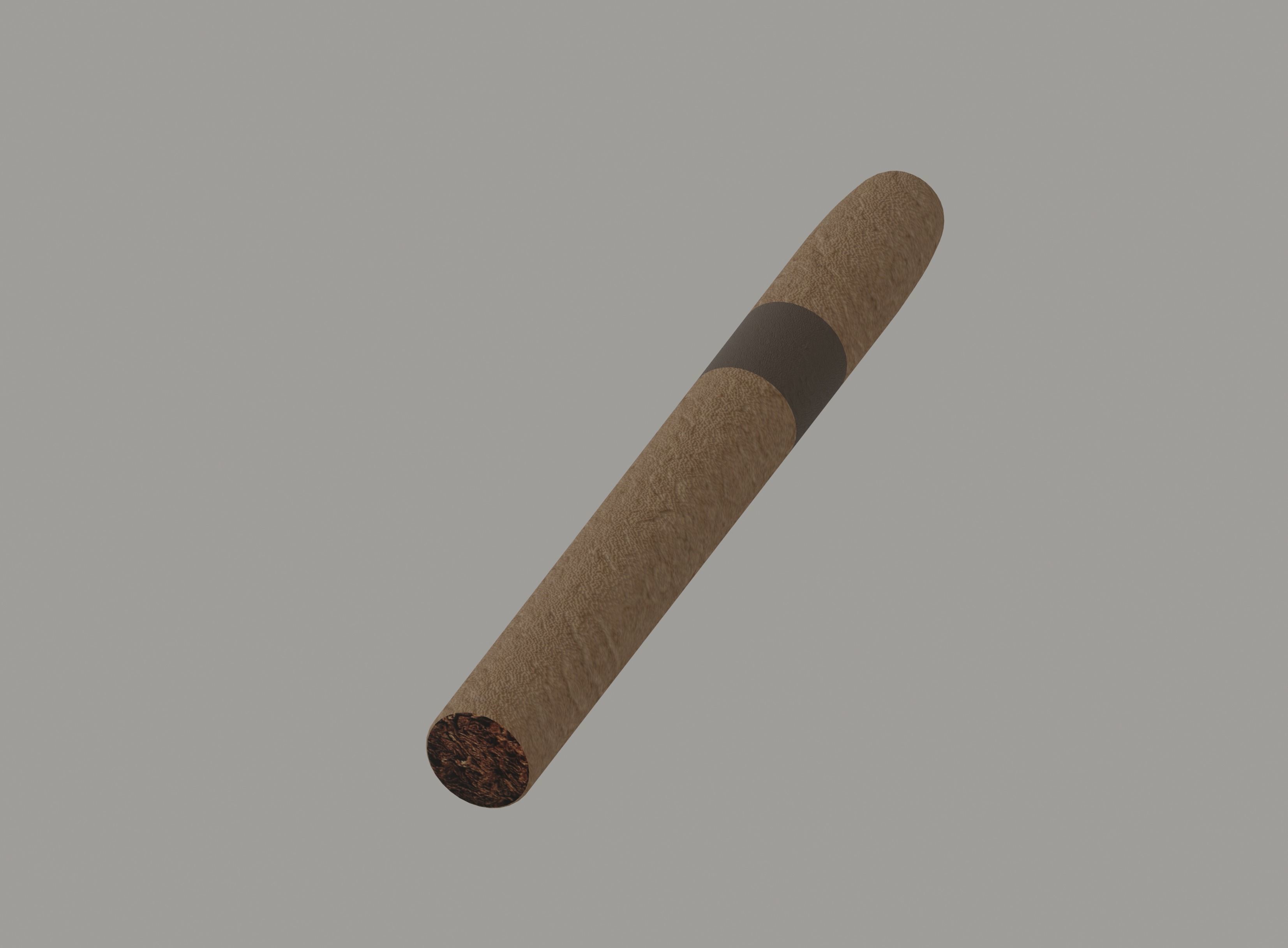 Cigar Low-poly 3D model_5