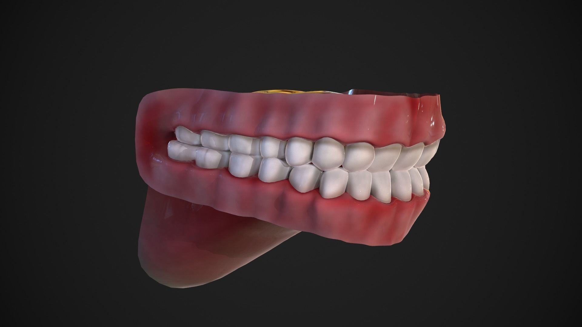 Dental Mouth and Teeth Model Rigged for animation or printing Low-poly 3D model_6