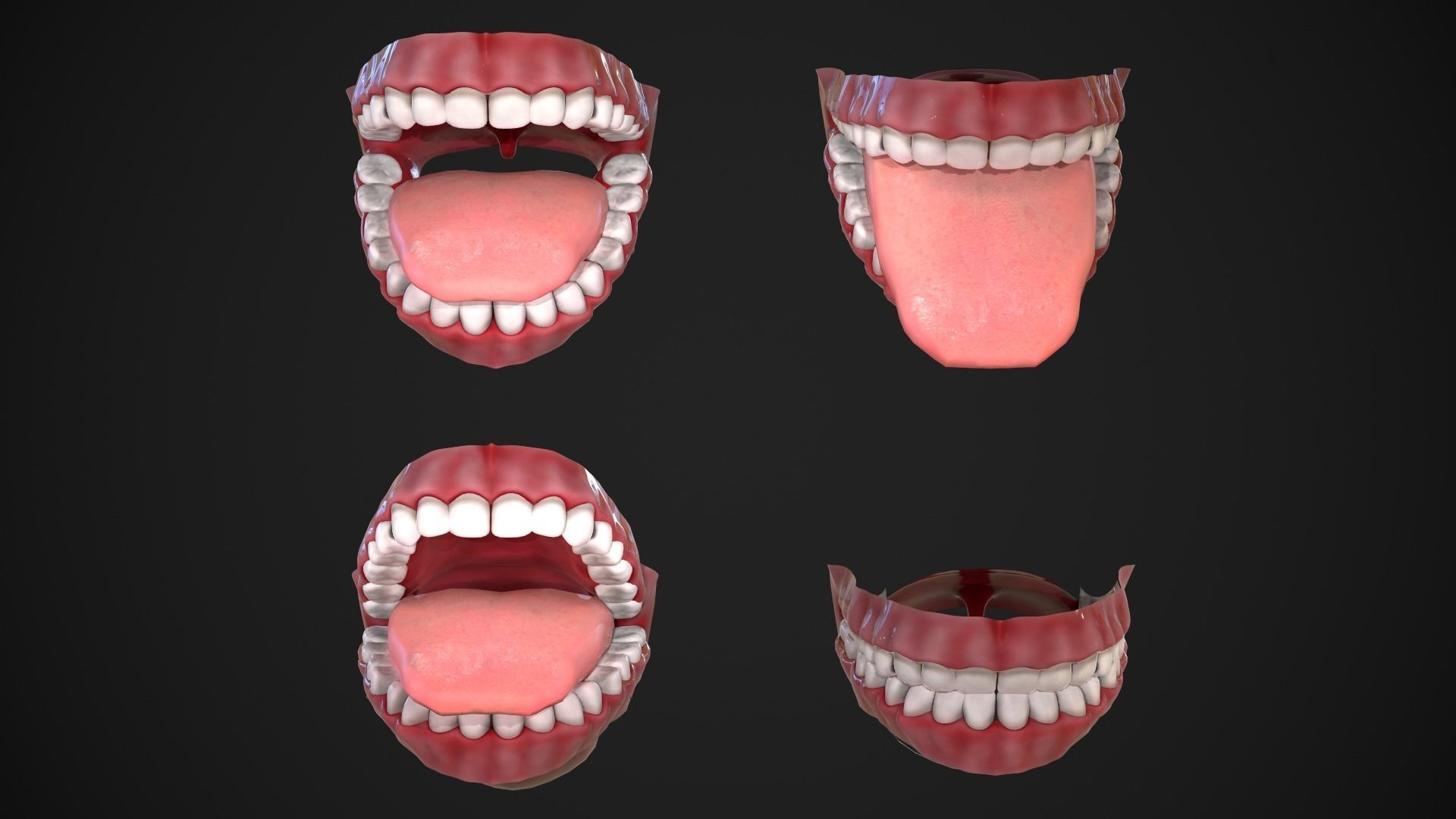 Dental Mouth and Teeth Model Rigged for animation or printing Low-poly 3D model_13