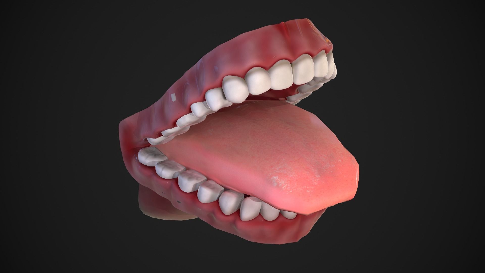 Dental Mouth and Teeth Model Rigged for animation or printing Low-poly 3D model_11