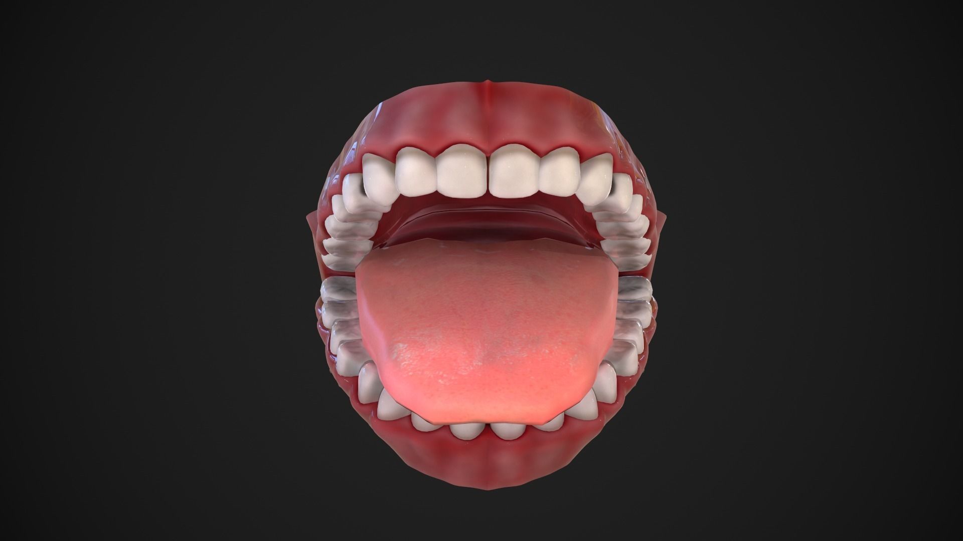 Dental Mouth and Teeth Model Rigged for animation or printing Low-poly 3D model_12