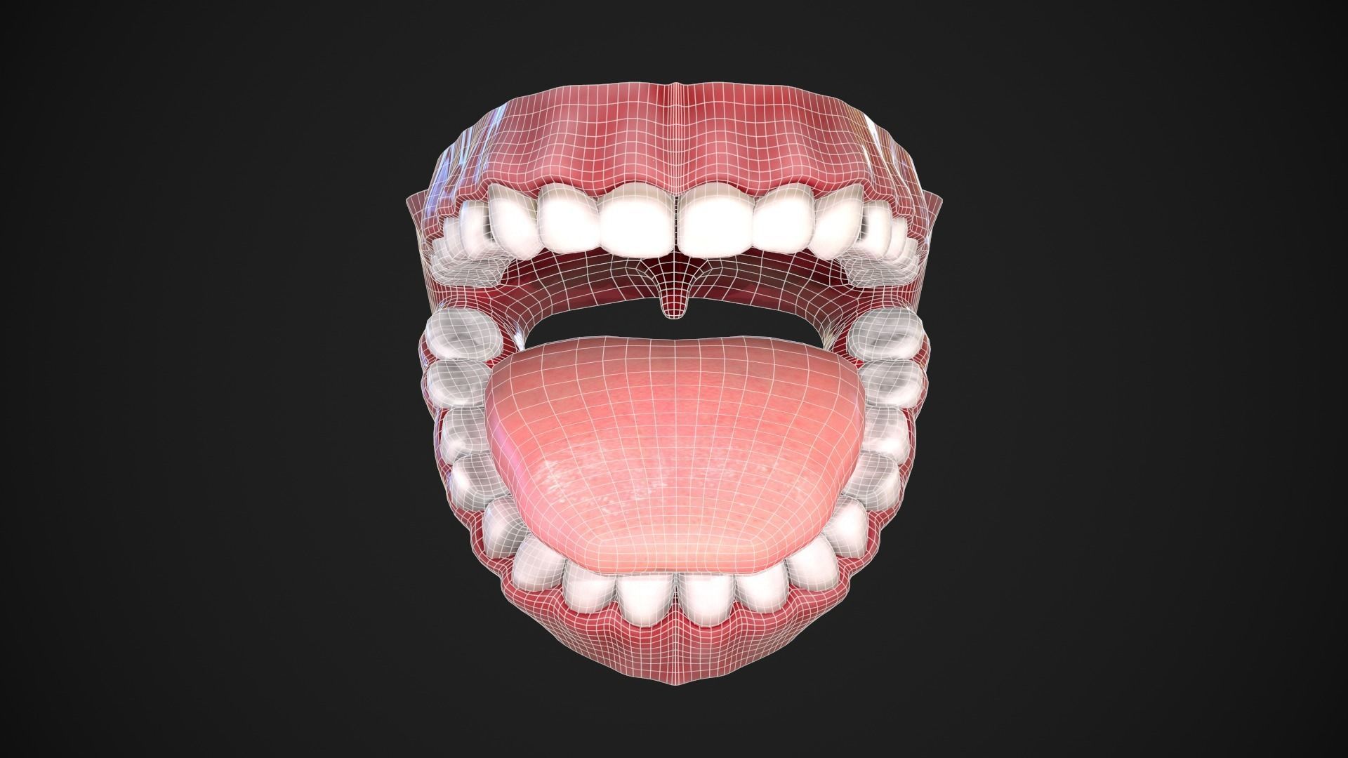 Dental Mouth and Teeth Model Rigged for animation or printing Low-poly 3D model_14