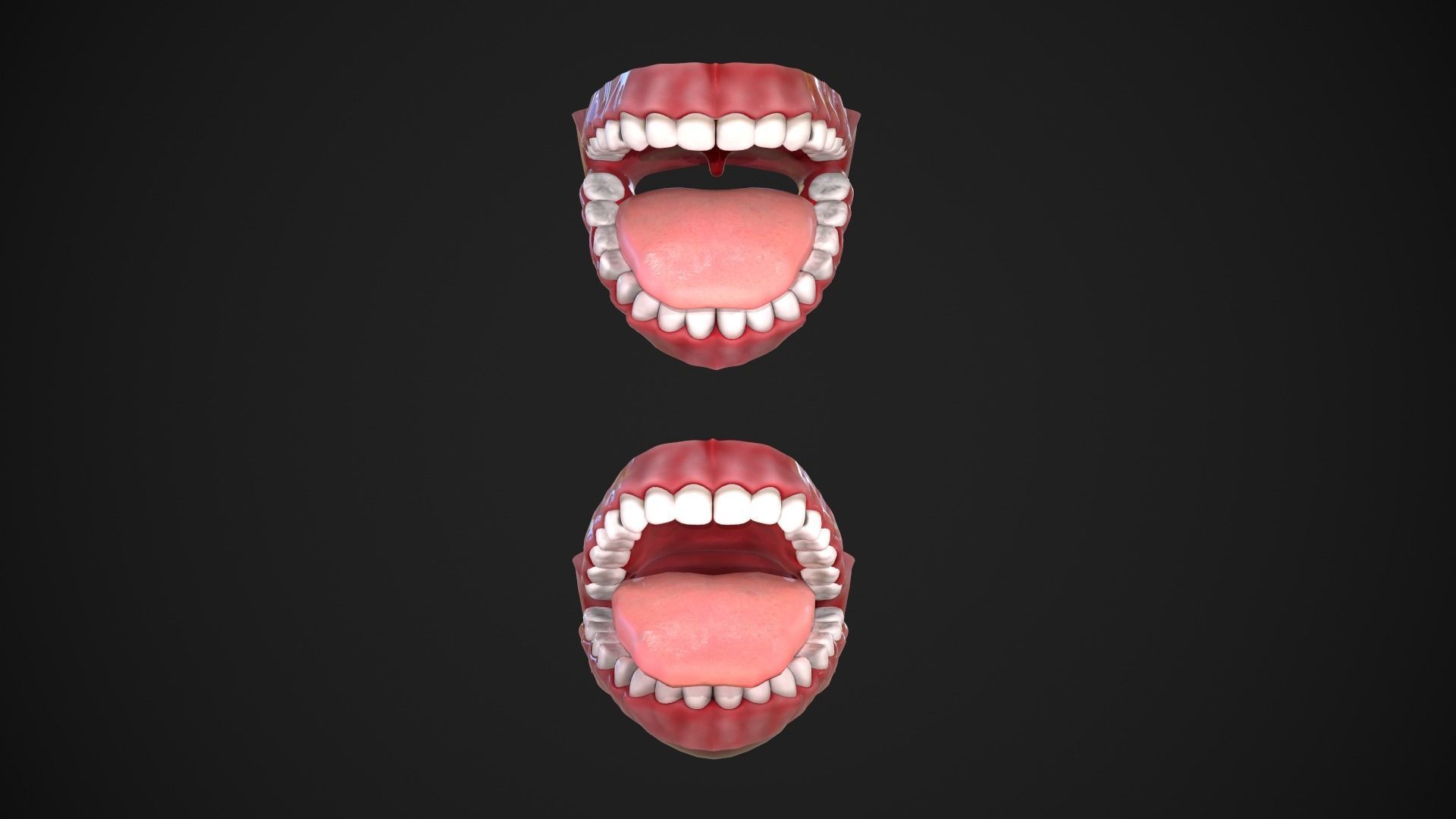 Dental Mouth and Teeth Model Rigged for animation or printing Low-poly 3D model_5