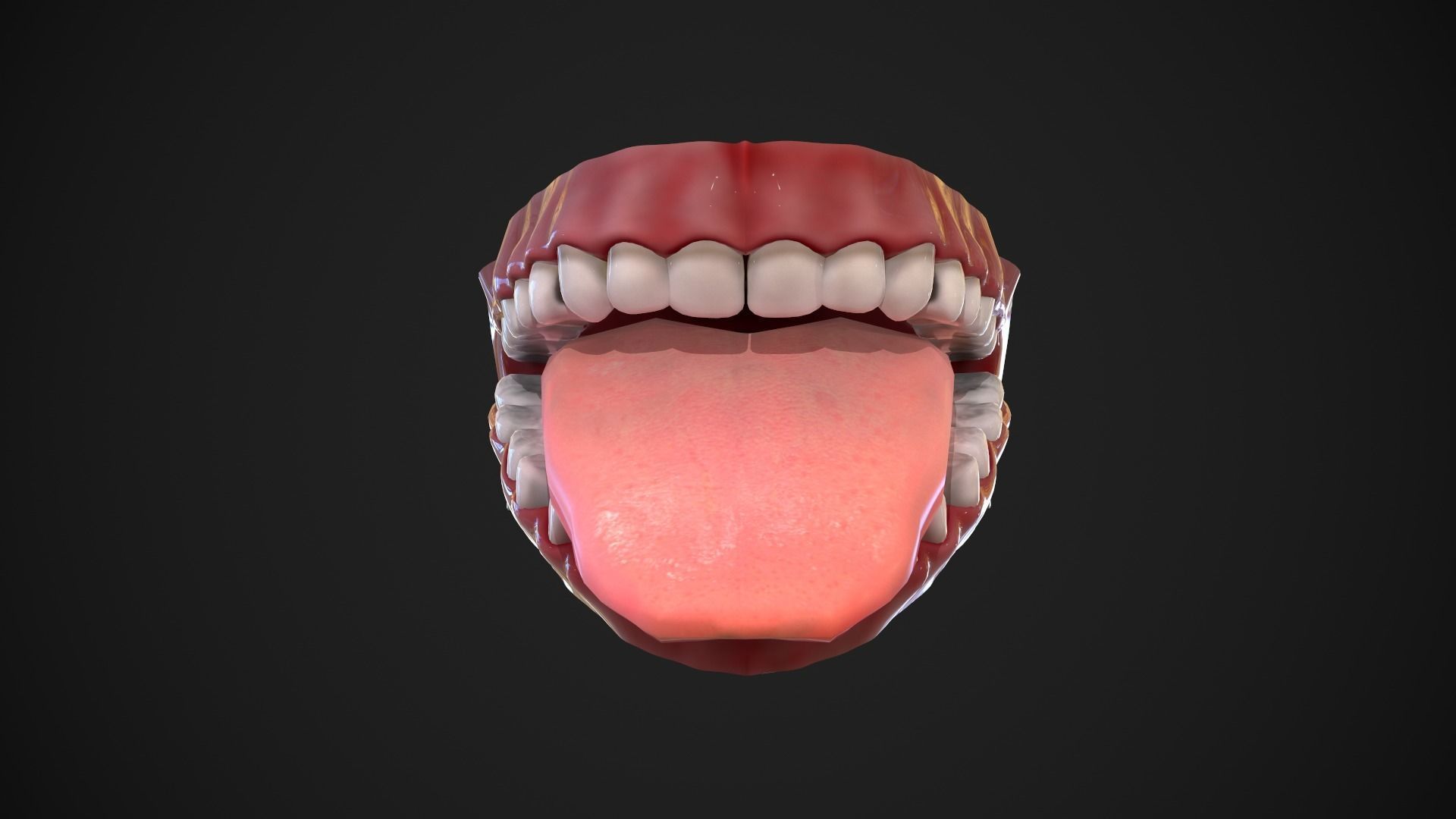 Dental Mouth and Teeth Model Rigged for animation or printing Low-poly 3D model_10
