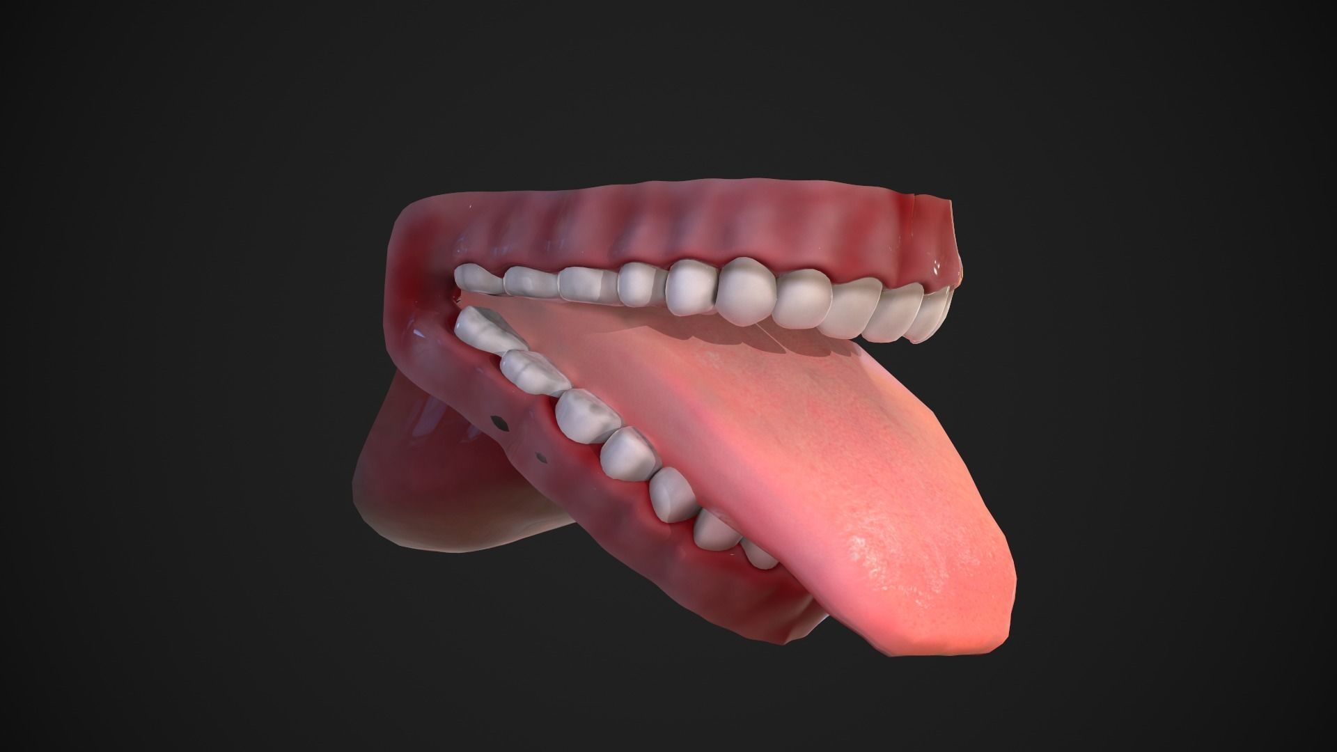 Dental Mouth and Teeth Model Rigged for animation or printing Low-poly 3D model_4