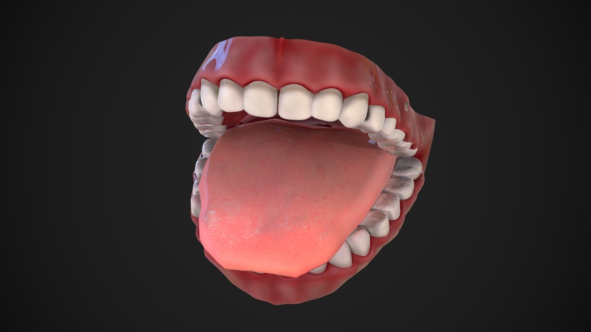 Dental Mouth and Teeth Model Rigged for animation or printing Low-poly 3D model_9
