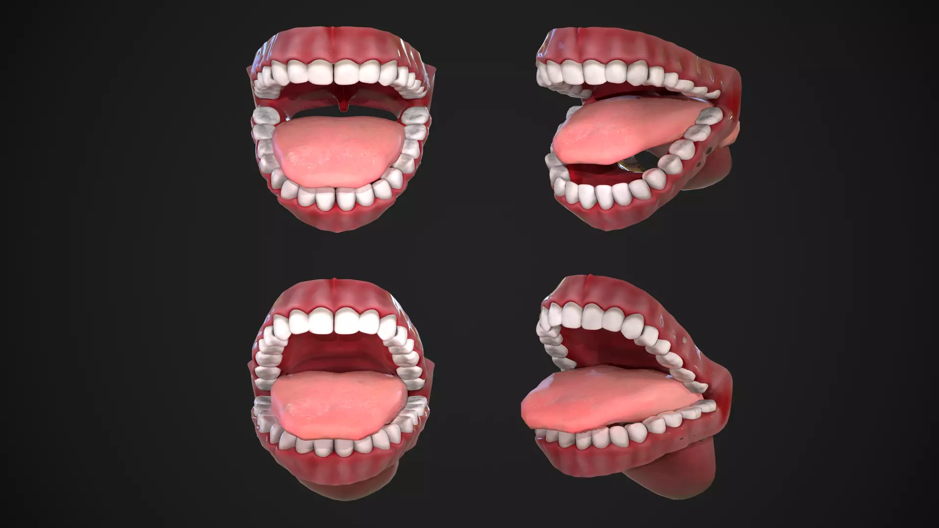 Dental Mouth and Teeth Model Rigged for animation or printing Low-poly 3D model_0