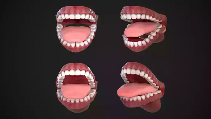 Dental Mouth and Teeth Model Rigged for animation or printing Low-poly 3D model Dental Mouth and Teeth Model Rigged for animation or printing Low-poly 3D model
