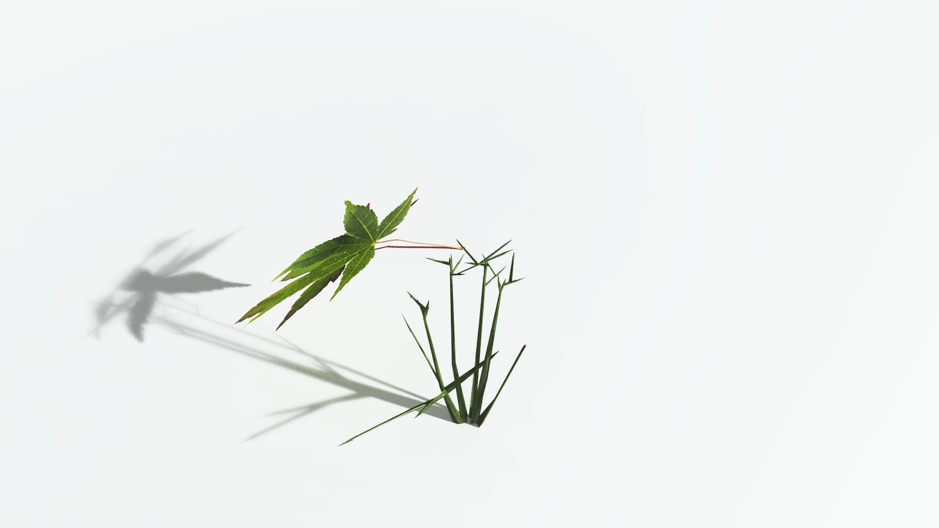 EVERYPlant Japanese Maple 2 --18 Models-- 3D model_28