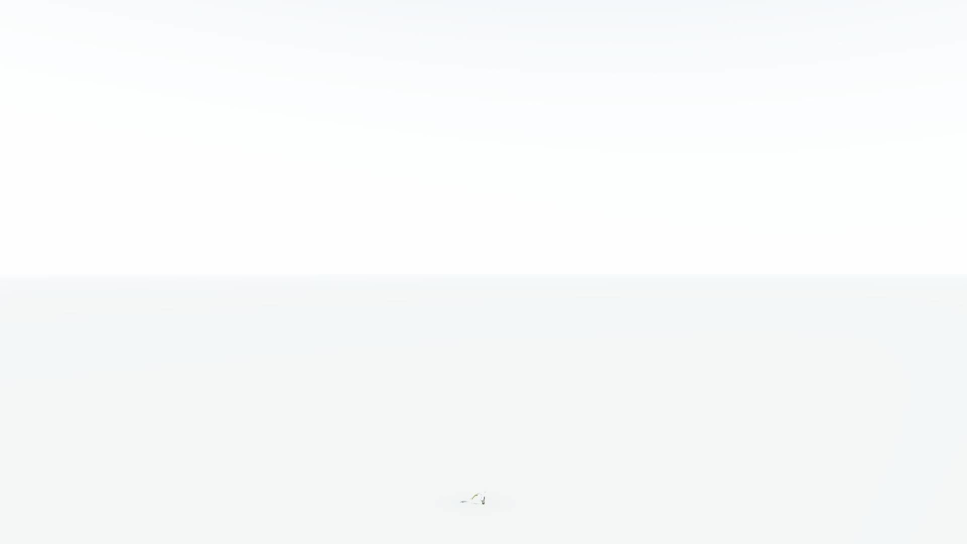 EVERYPlant Japanese Maple 2 --18 Models-- 3D model_27