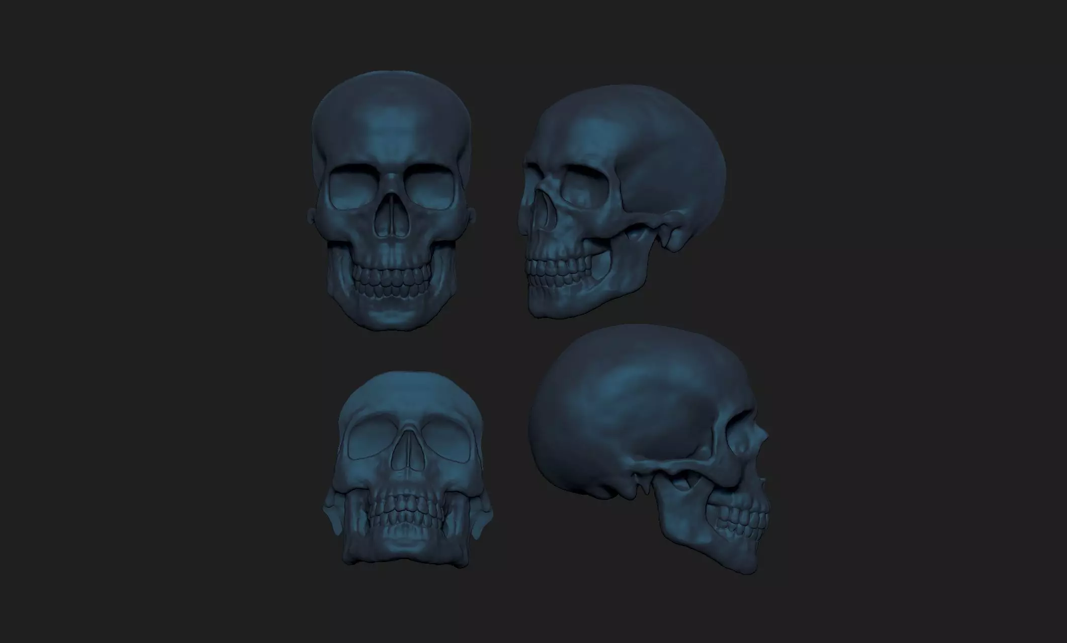 4 skulls 3D print model_0