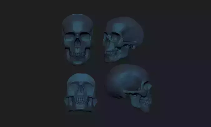 4 skulls