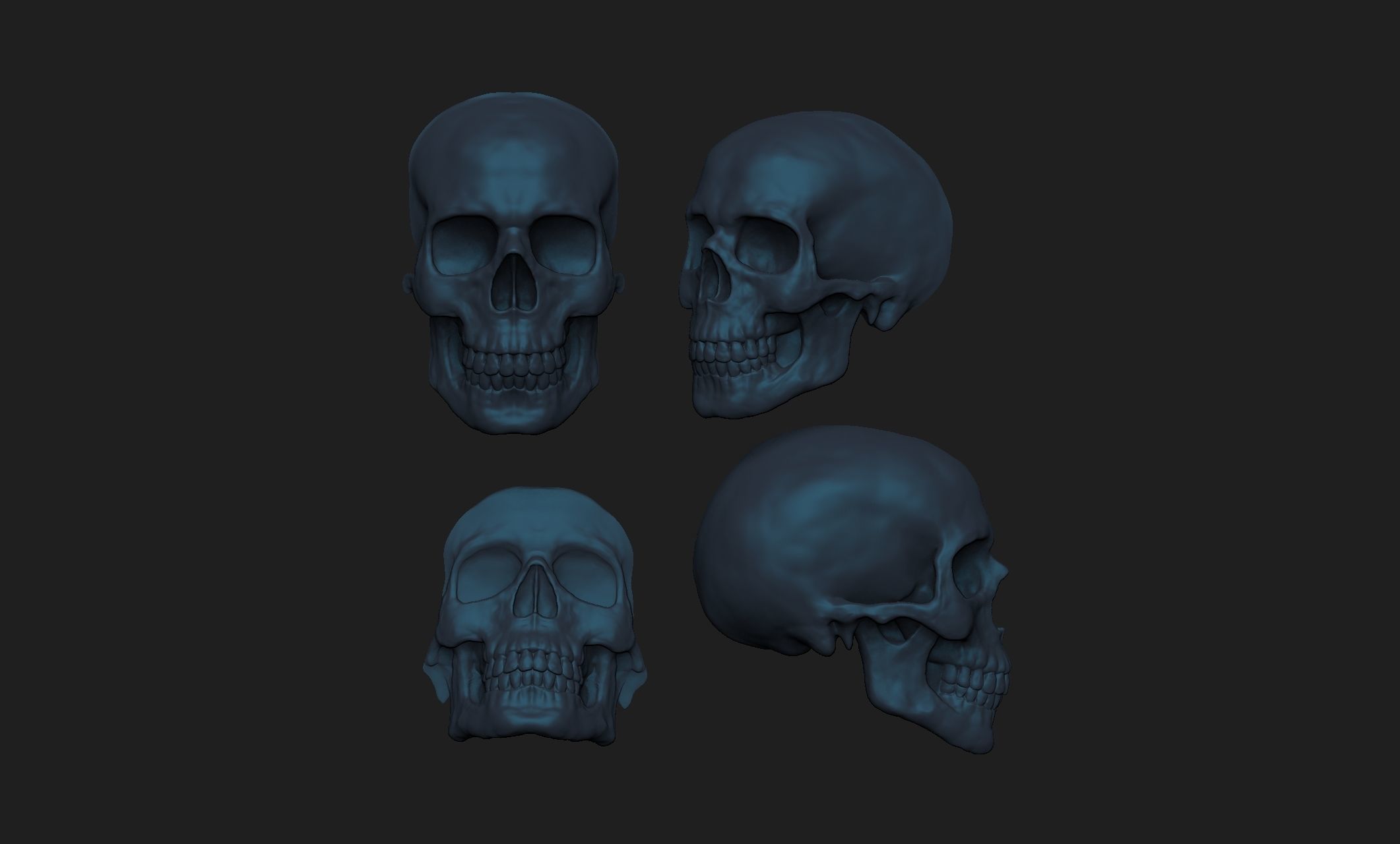 4 skulls 3D print model_1