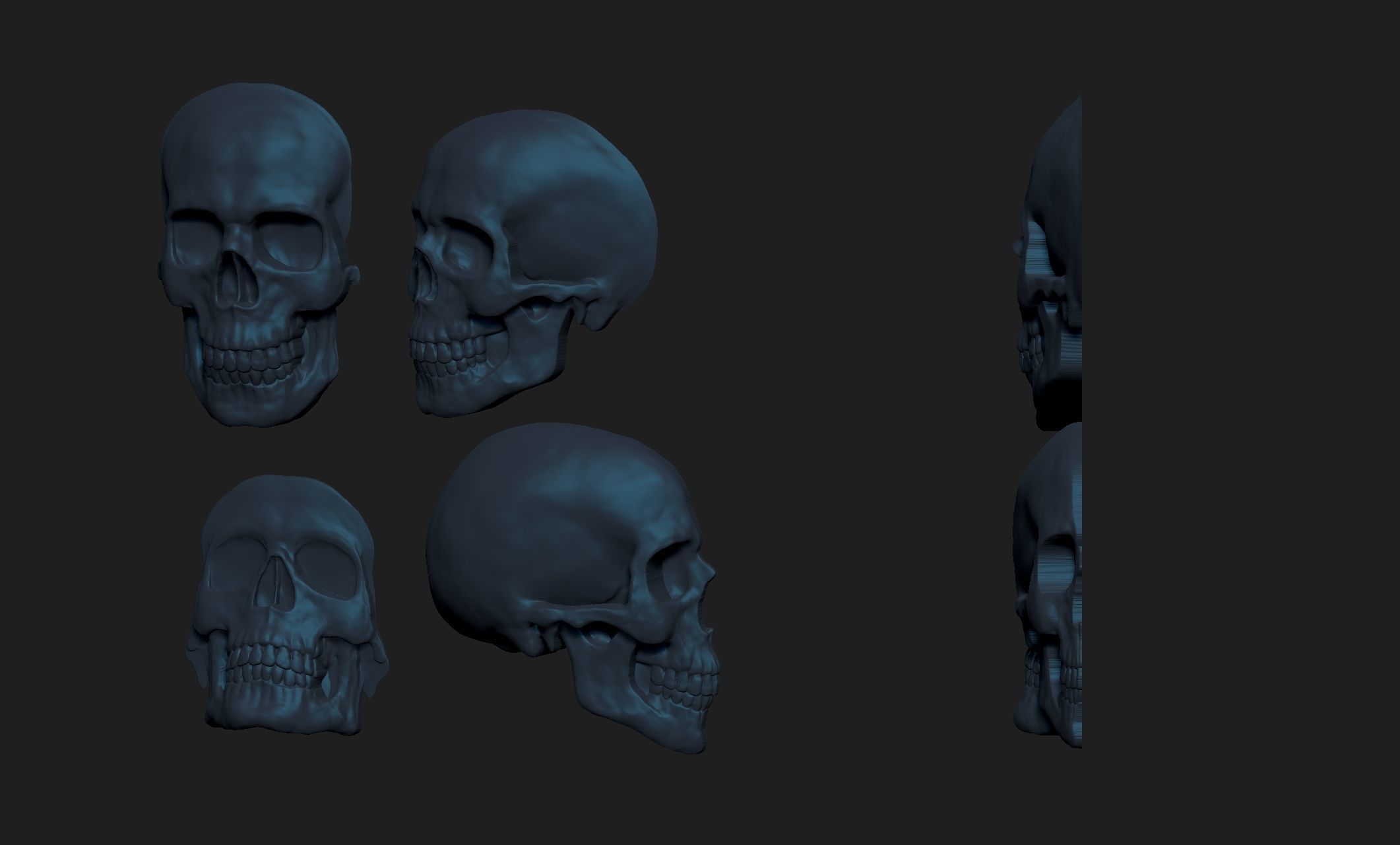 4 skulls 3D print model_2