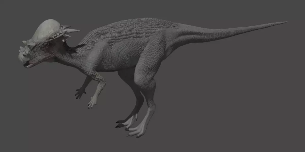 Pachycephalosaurus 3D model_2