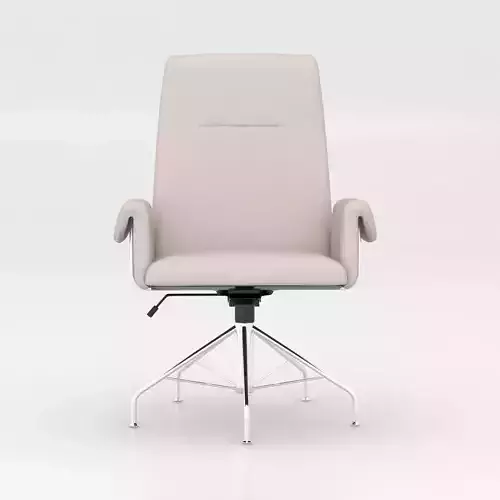 Saviti Bone Velvet Office 