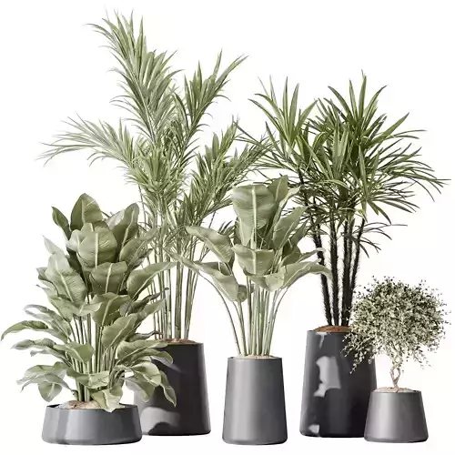 Indoor plant set 30