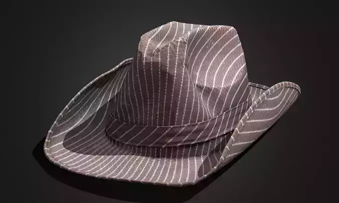 Hat rawscan new 3D Model