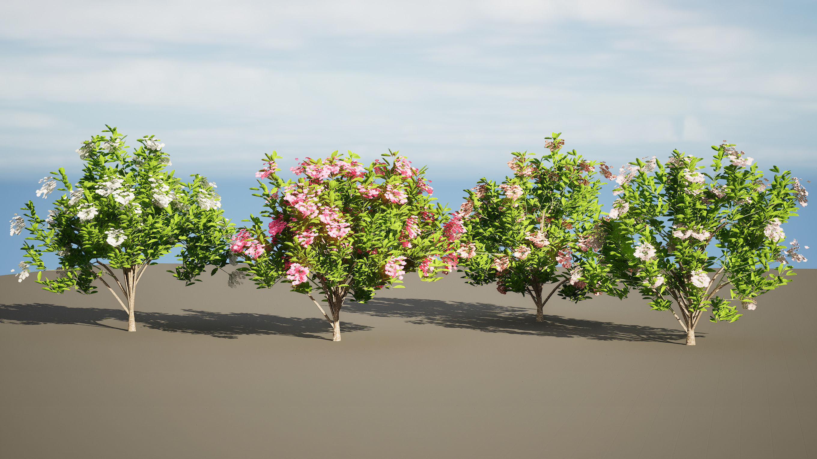 Kalmia Latifolia Flowering Bush Low-poly 3D model_3