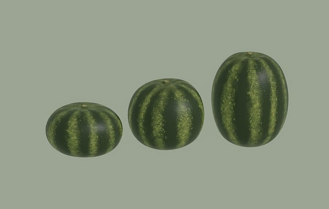 Watermelon 3D model 3