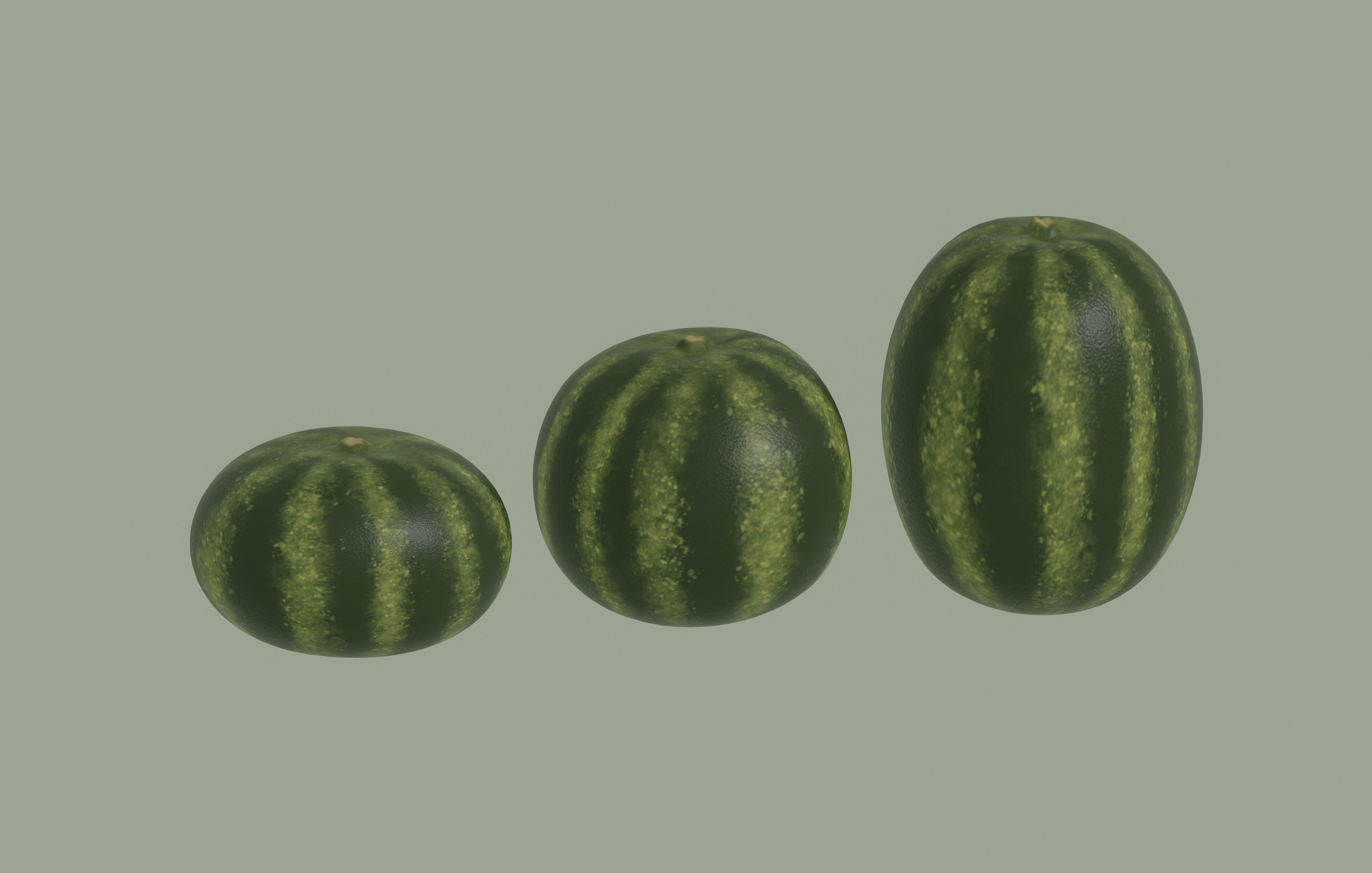 Watermelon 3D model_2