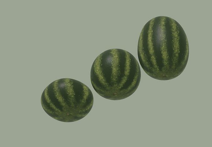 Watermelon 3D model 5