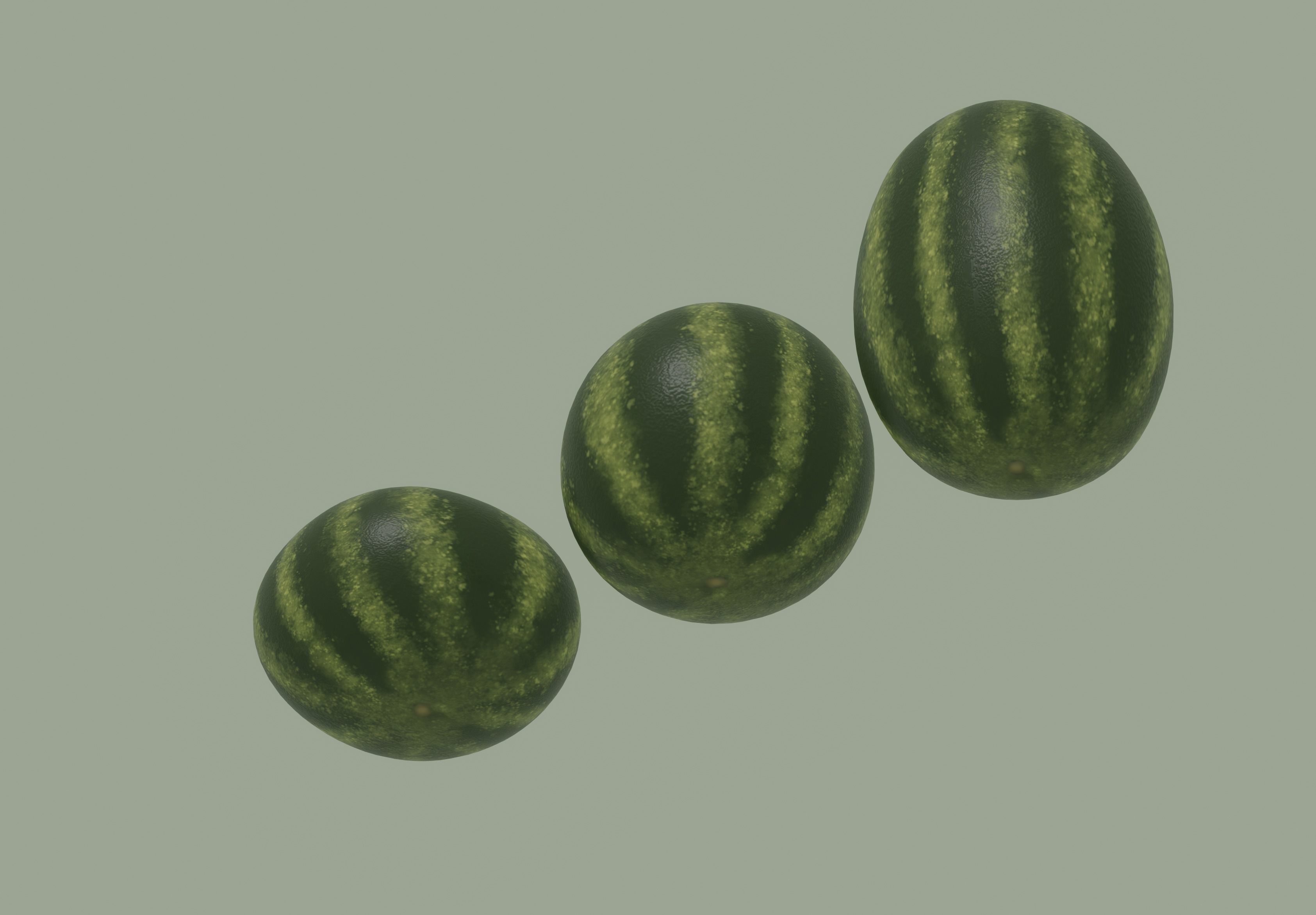Watermelon 3D model_4