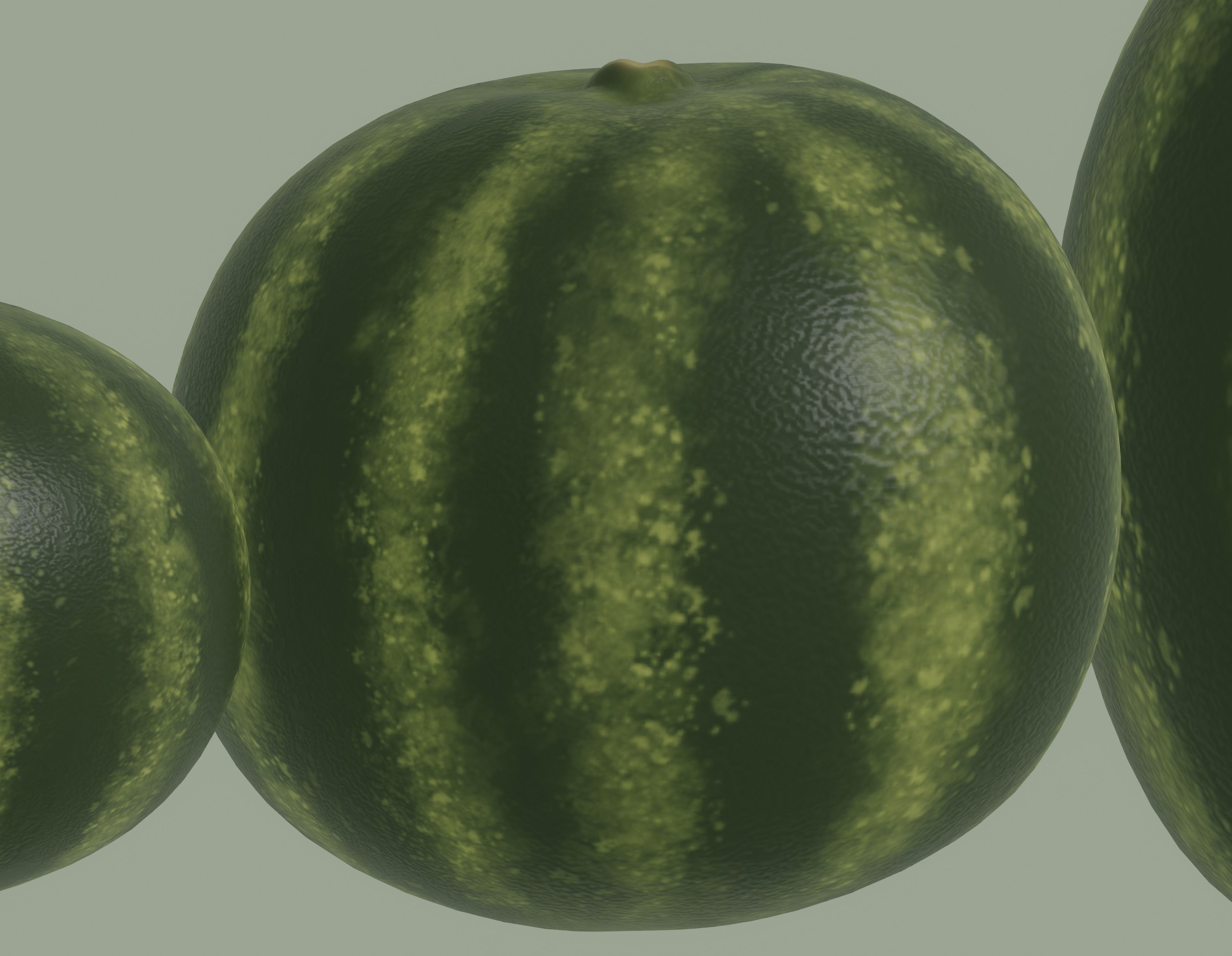 Watermelon 3D model_10