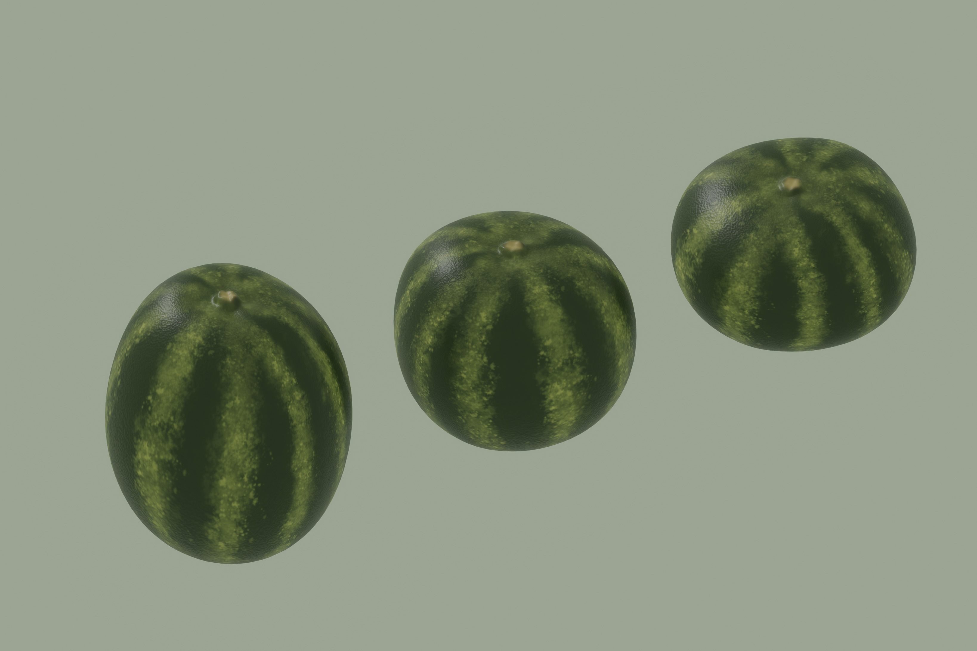 Watermelon 3D model_7