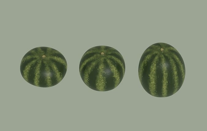 Watermelon 3D model 2