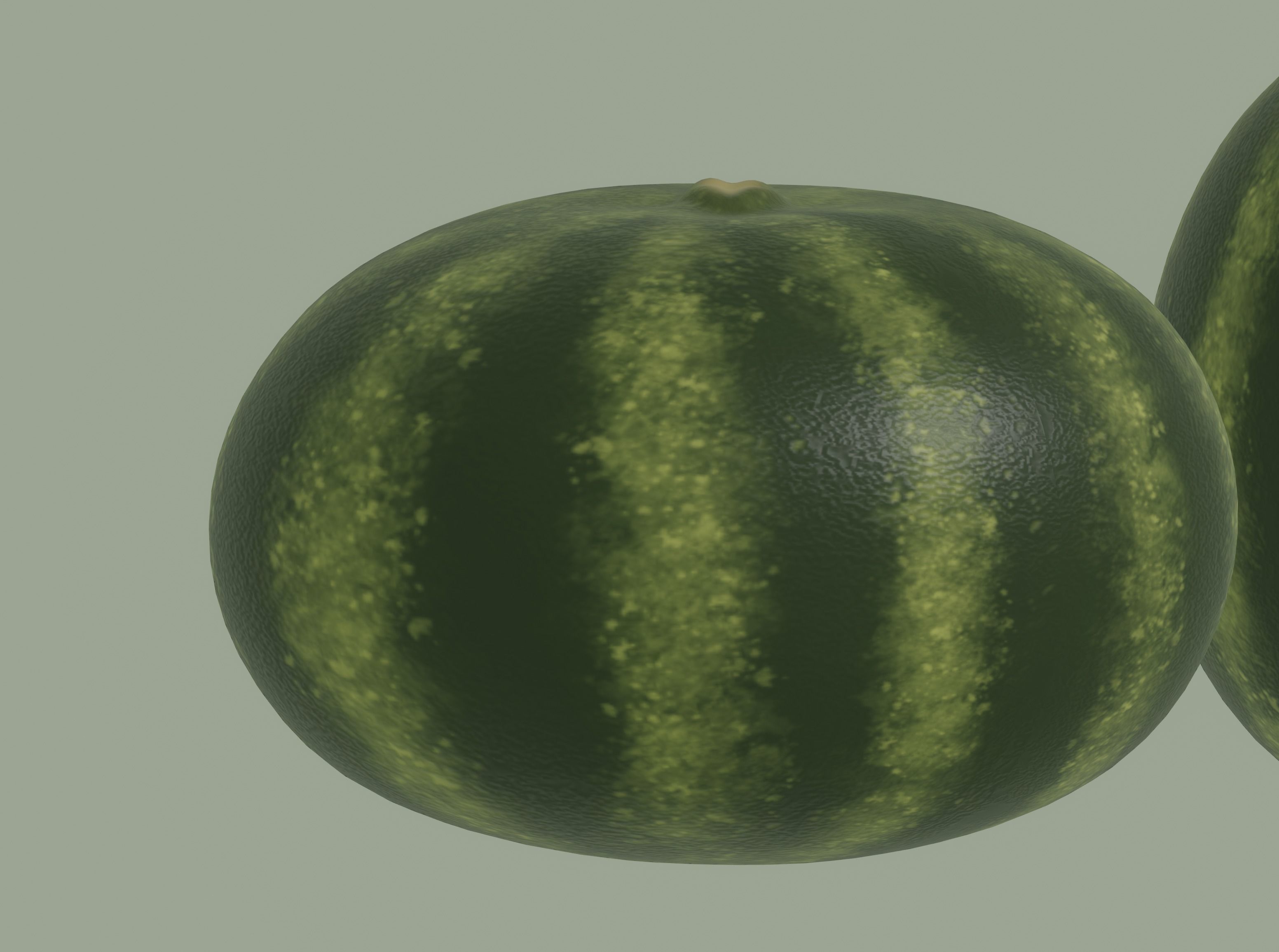 Watermelon 3D model_9