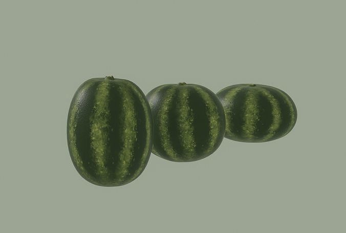 Watermelon 3D model 7