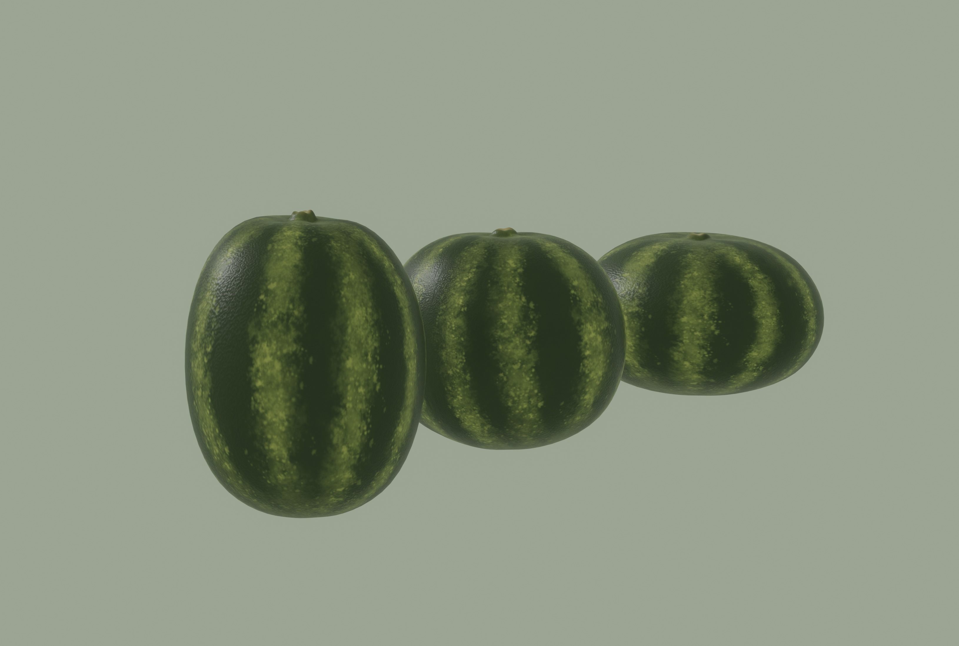 Watermelon 3D model_6