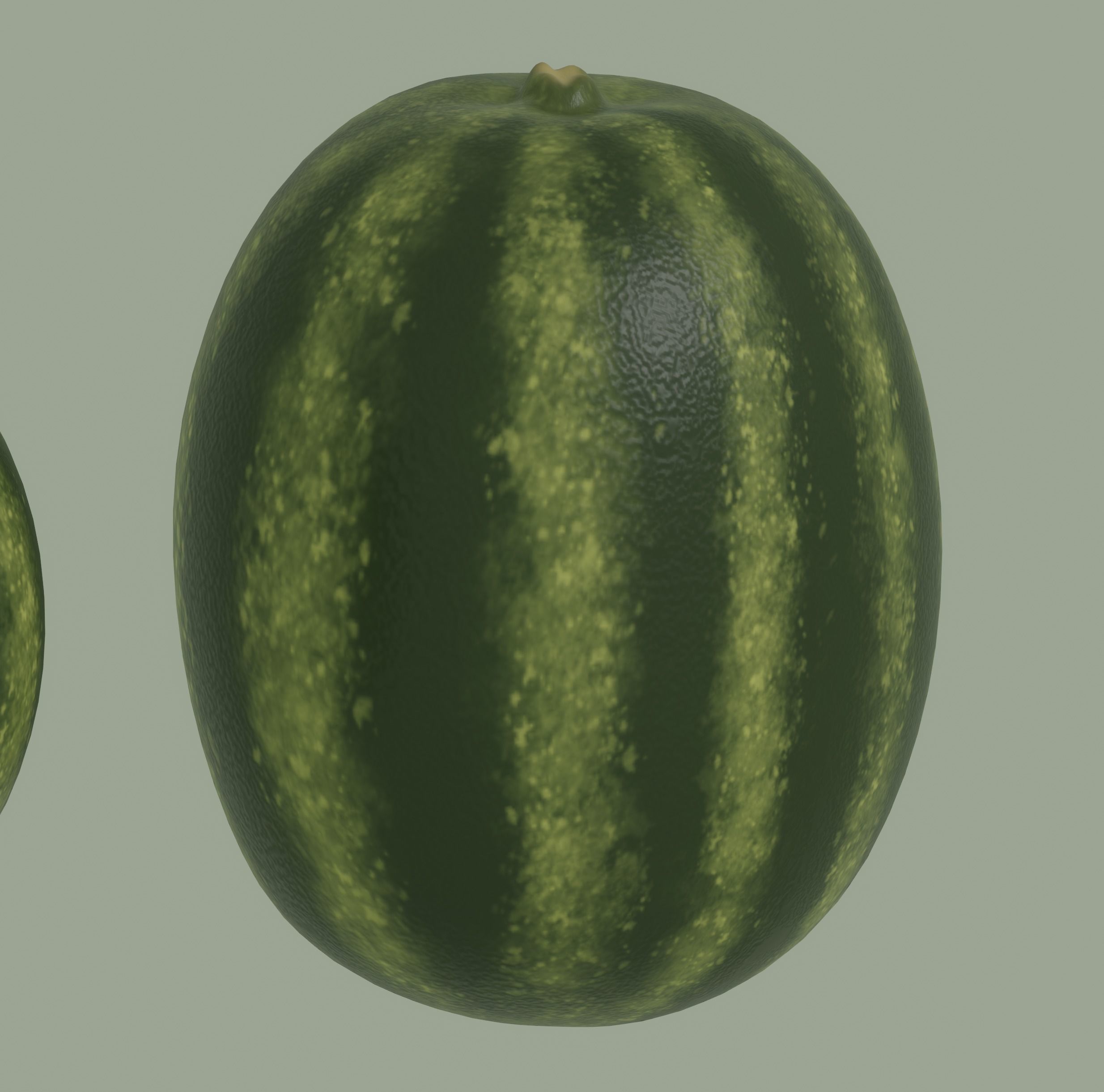 Watermelon 3D model_11