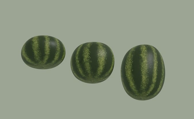 Watermelon 3D model 4