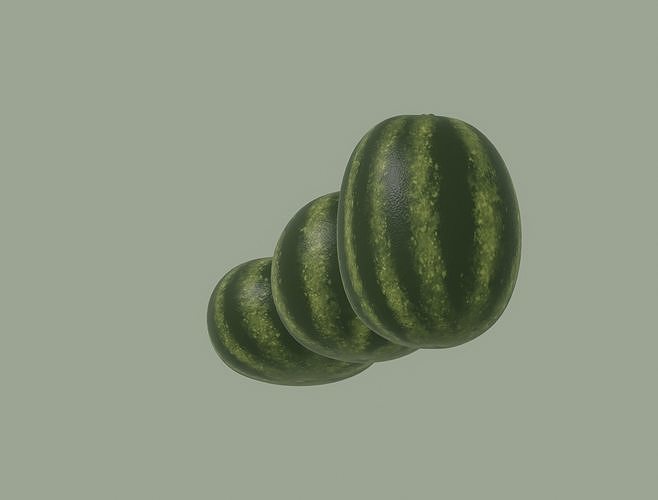 Watermelon 3D model 6