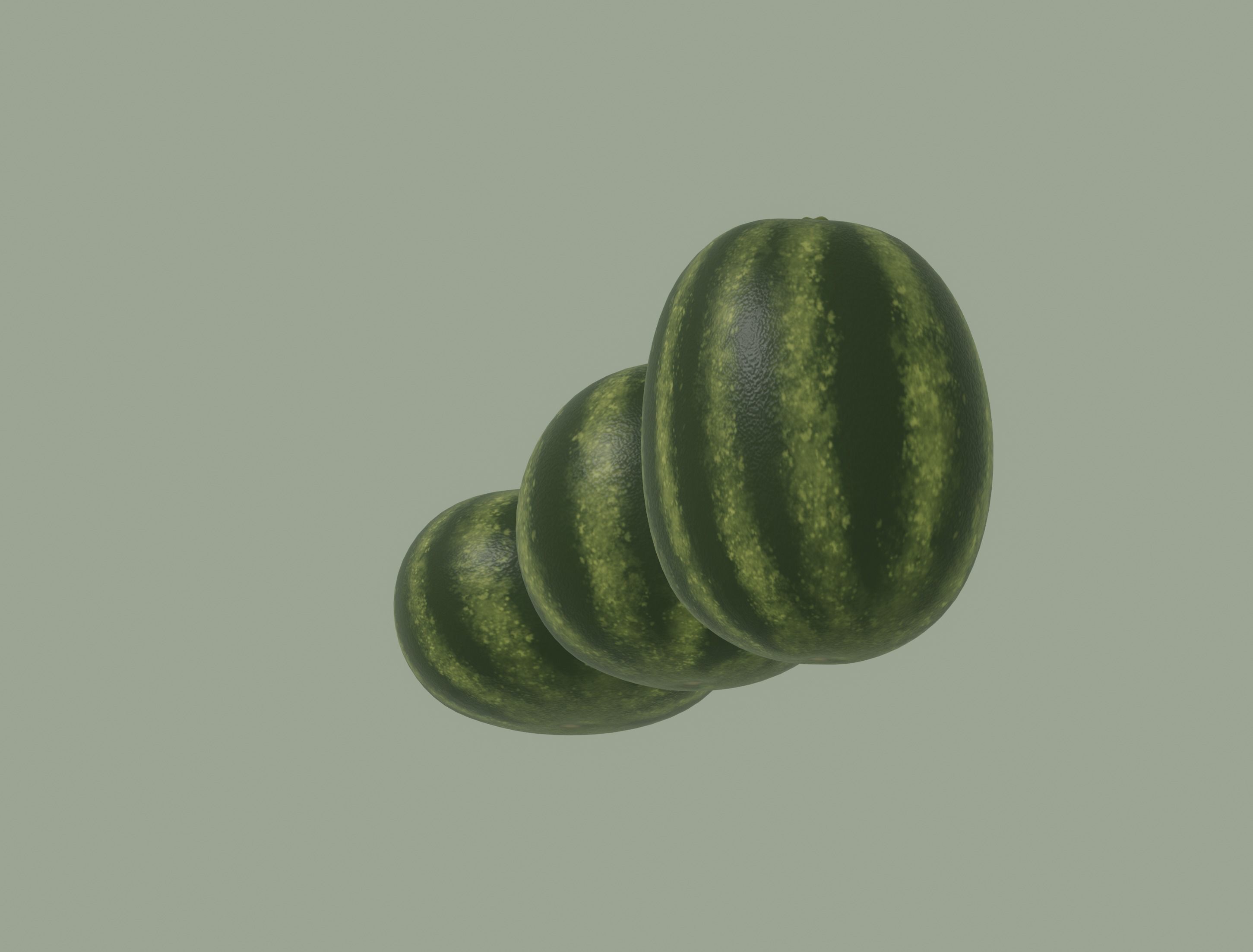 Watermelon 3D model_5