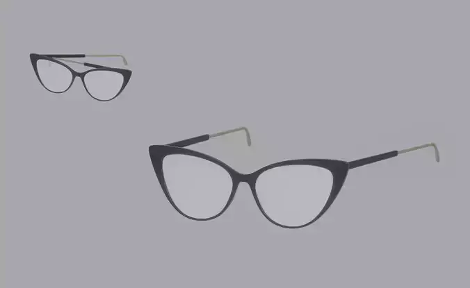 Librarian Glasses 3D model