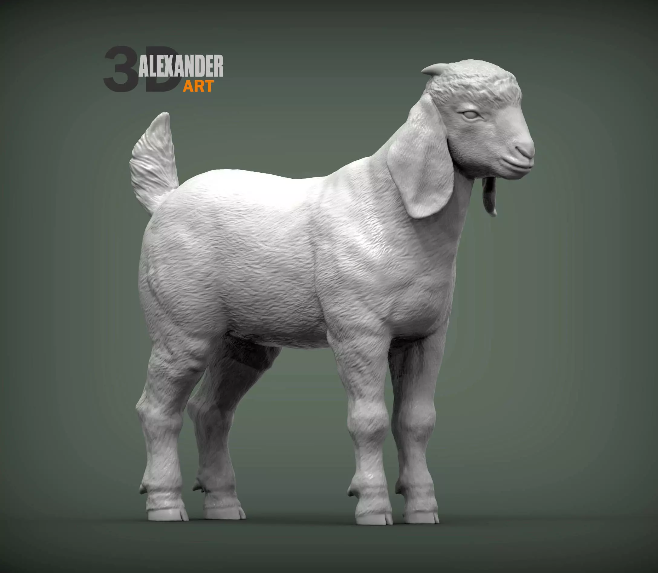 Baby Boer goat 3D print model_0