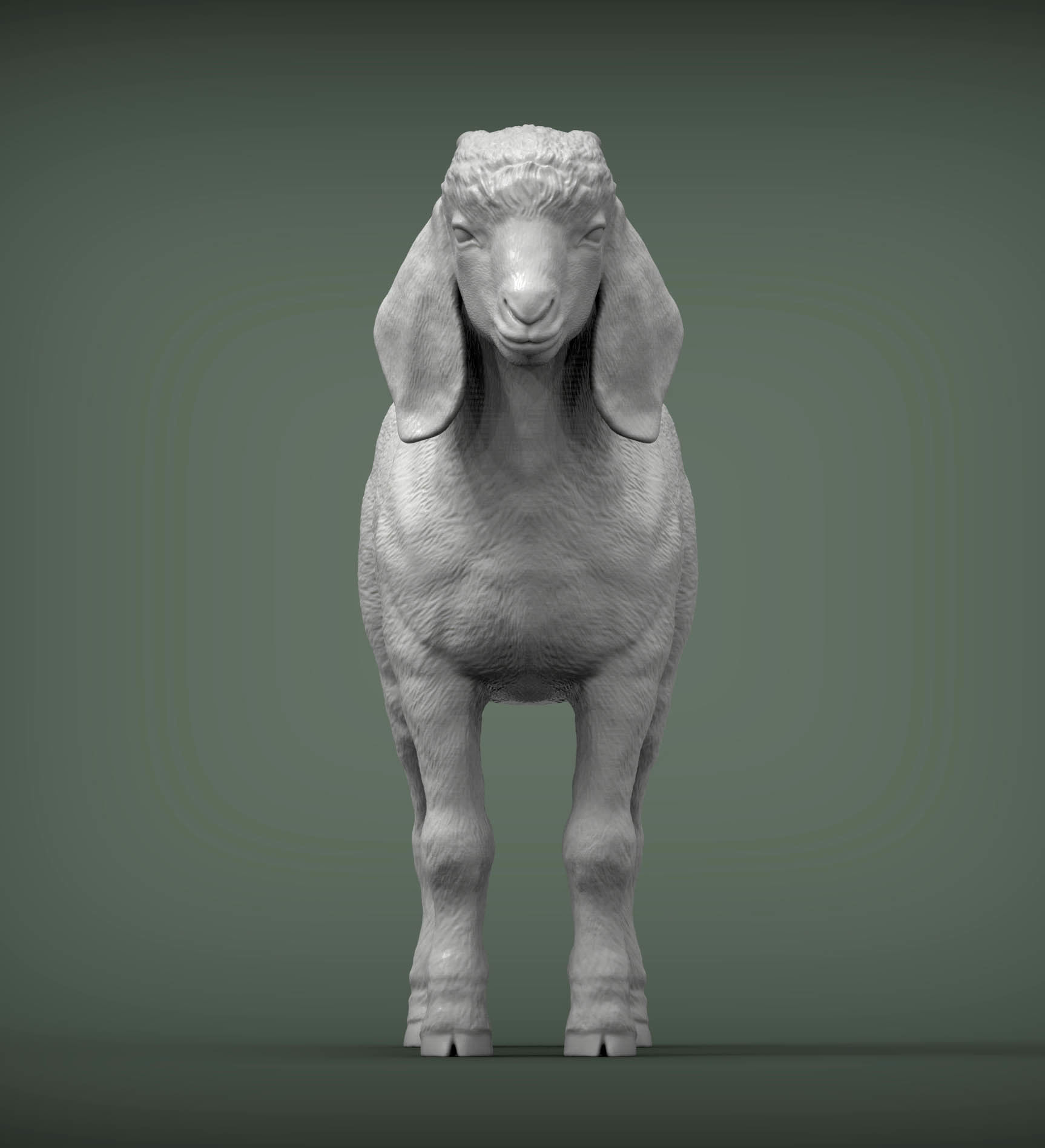 Baby Boer goat 3D print model_4
