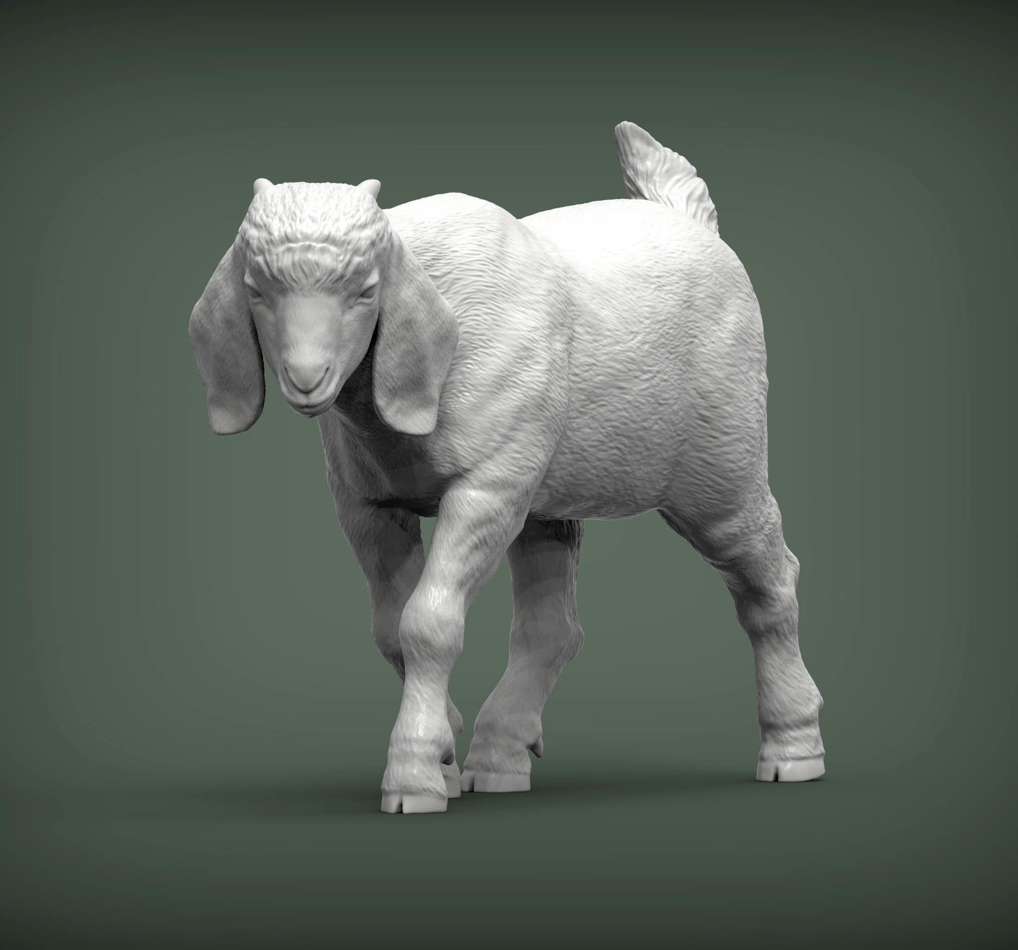 Boer goat baby walks 3D print model_1