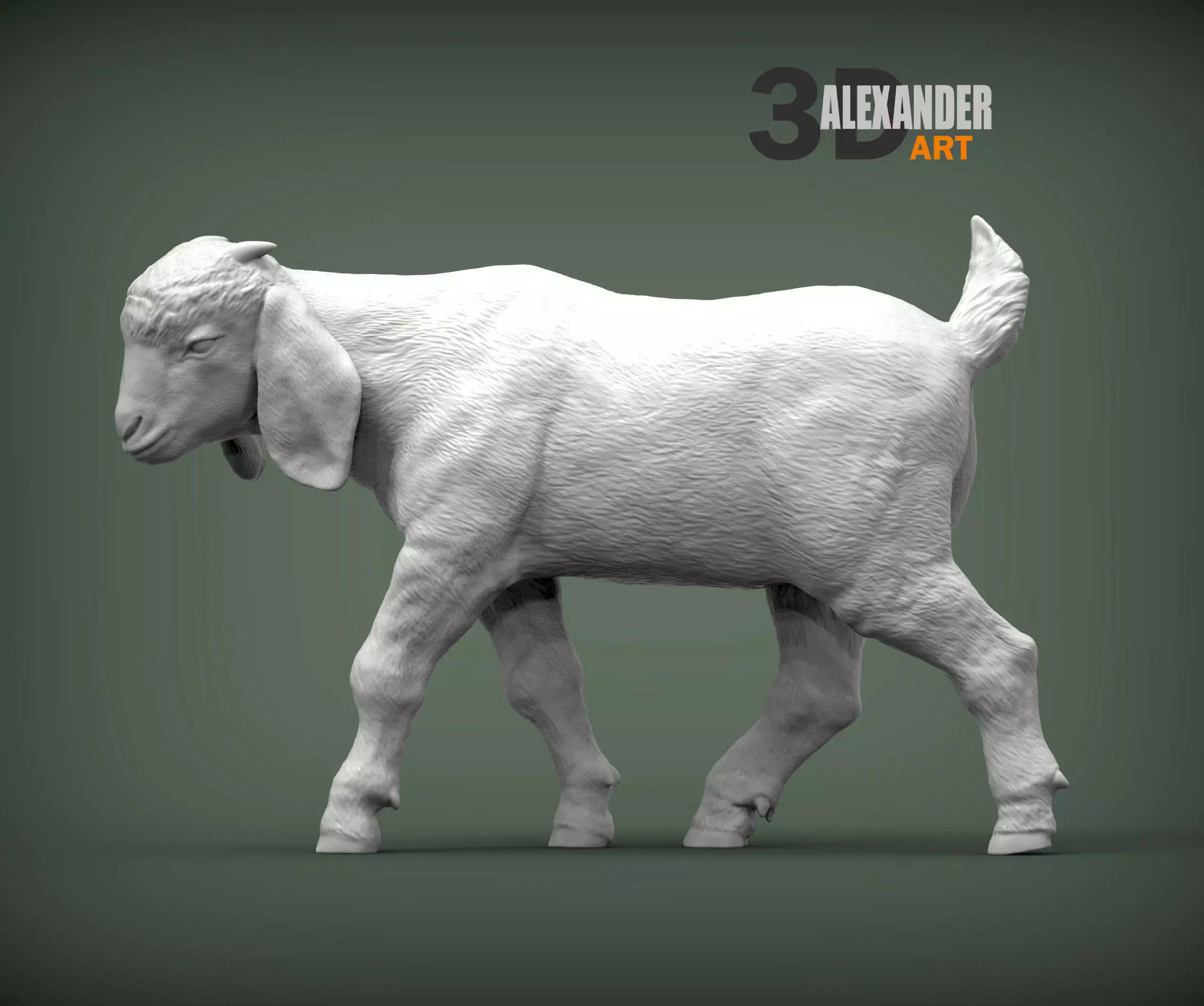 Boer goat baby walks 3D print model_0