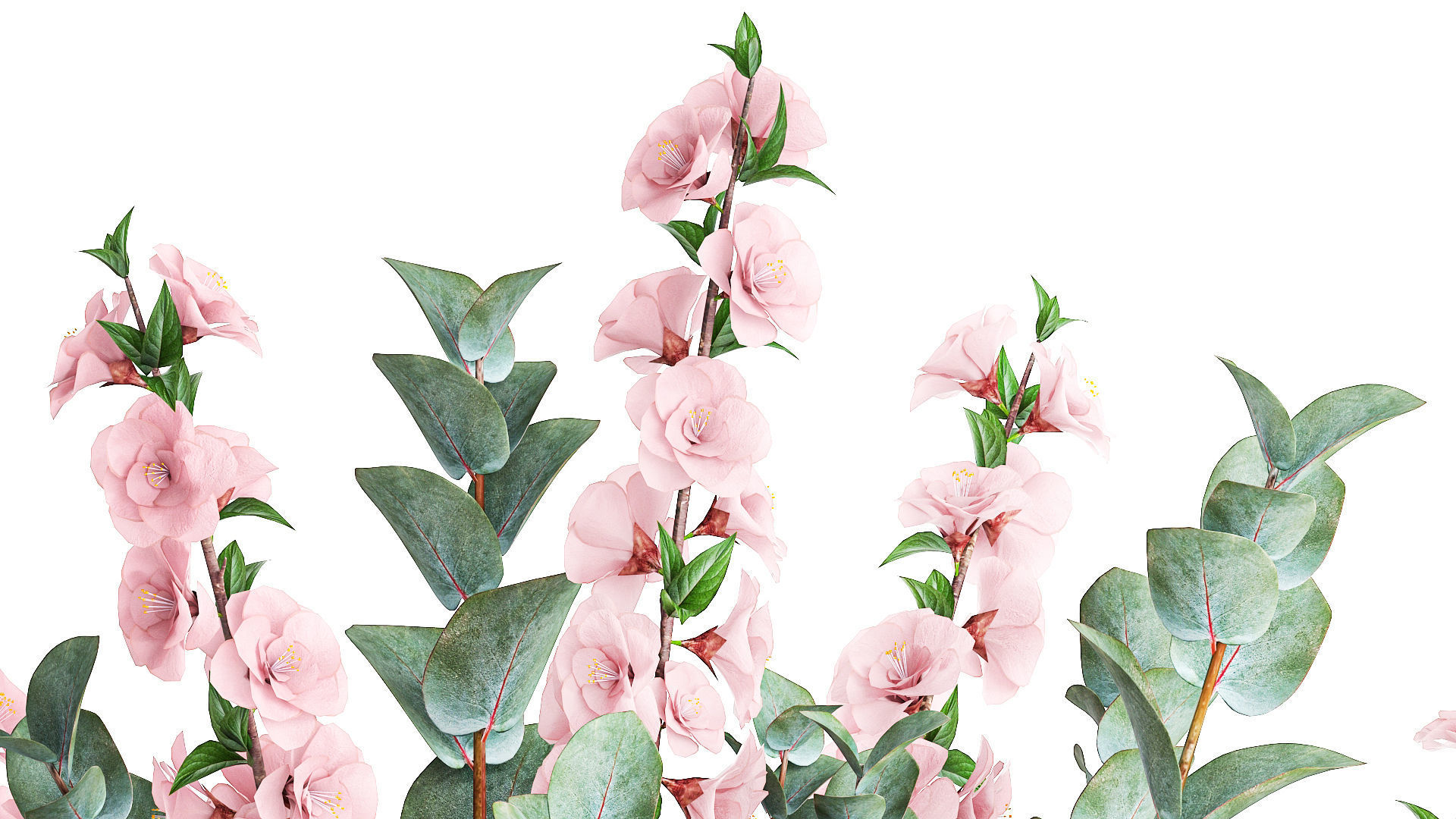 Bouquet of sakura branches with pink tulips flowers 377 3D model_5