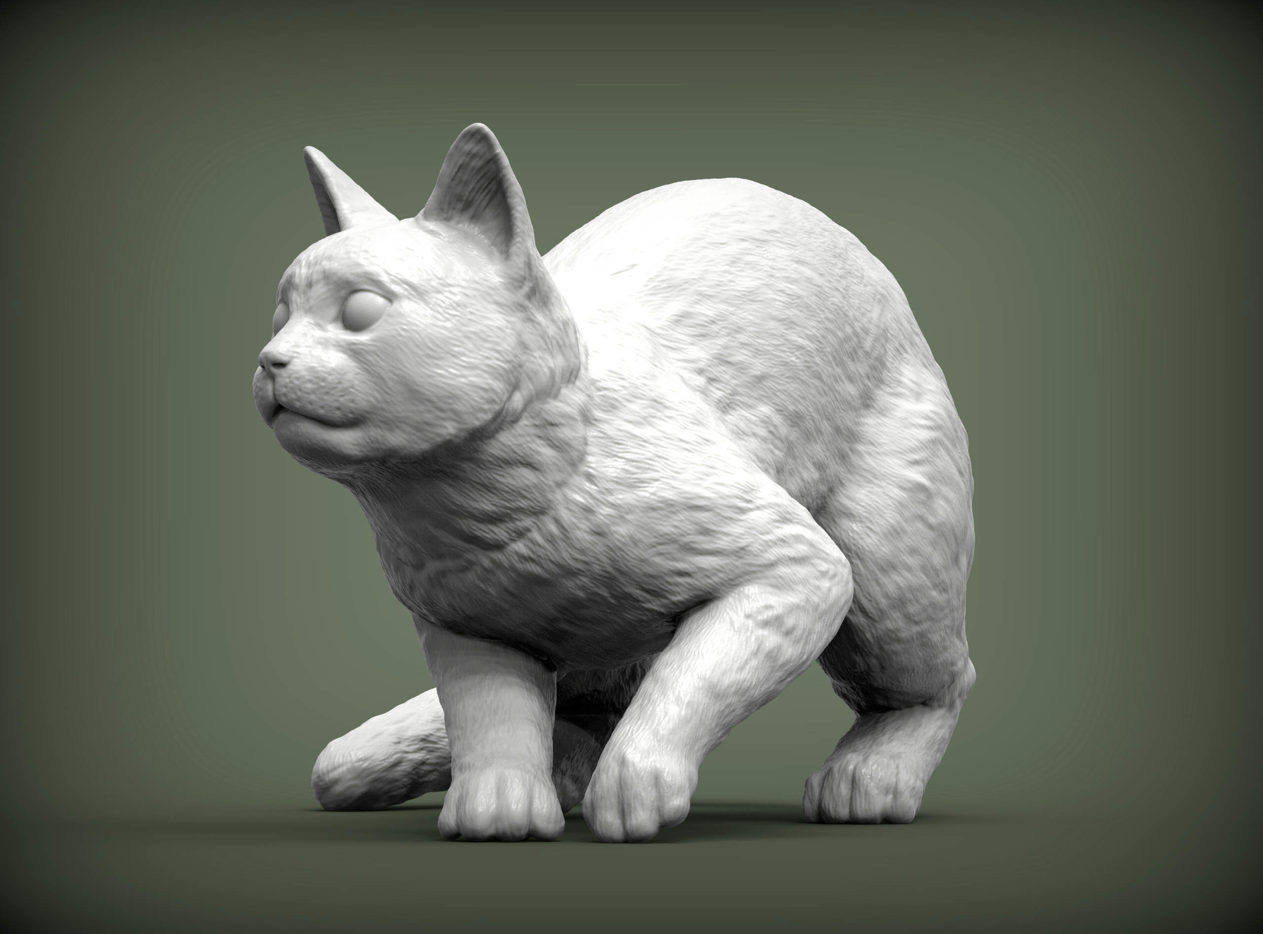 cat before the jump 3D print model_2