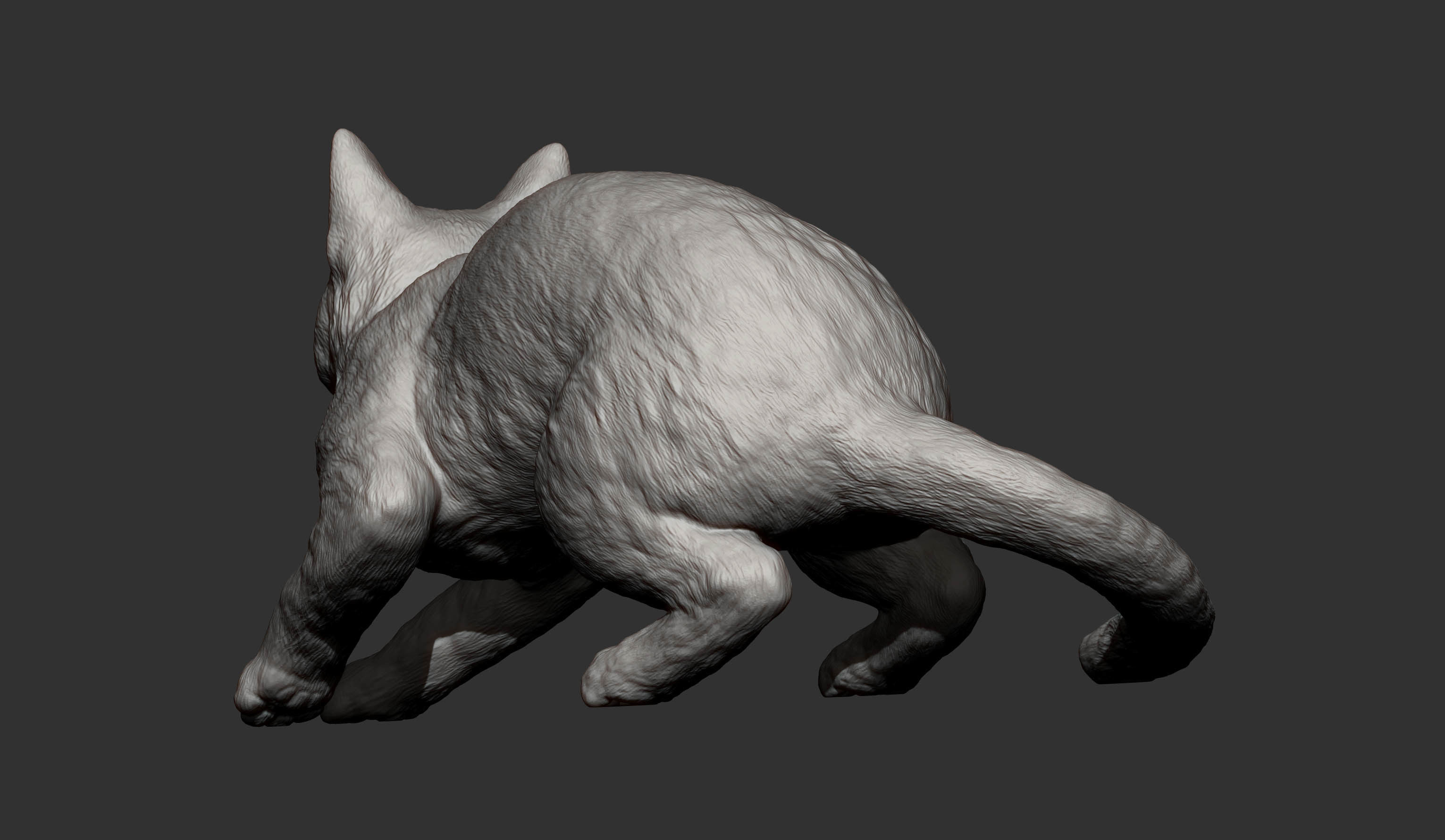 cat before the jump 3D print model_13