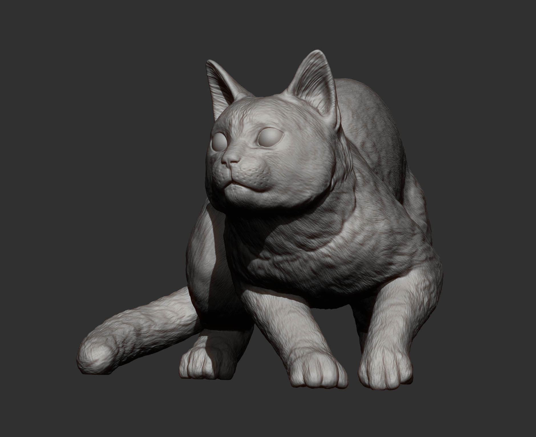 cat before the jump 3D print model_11