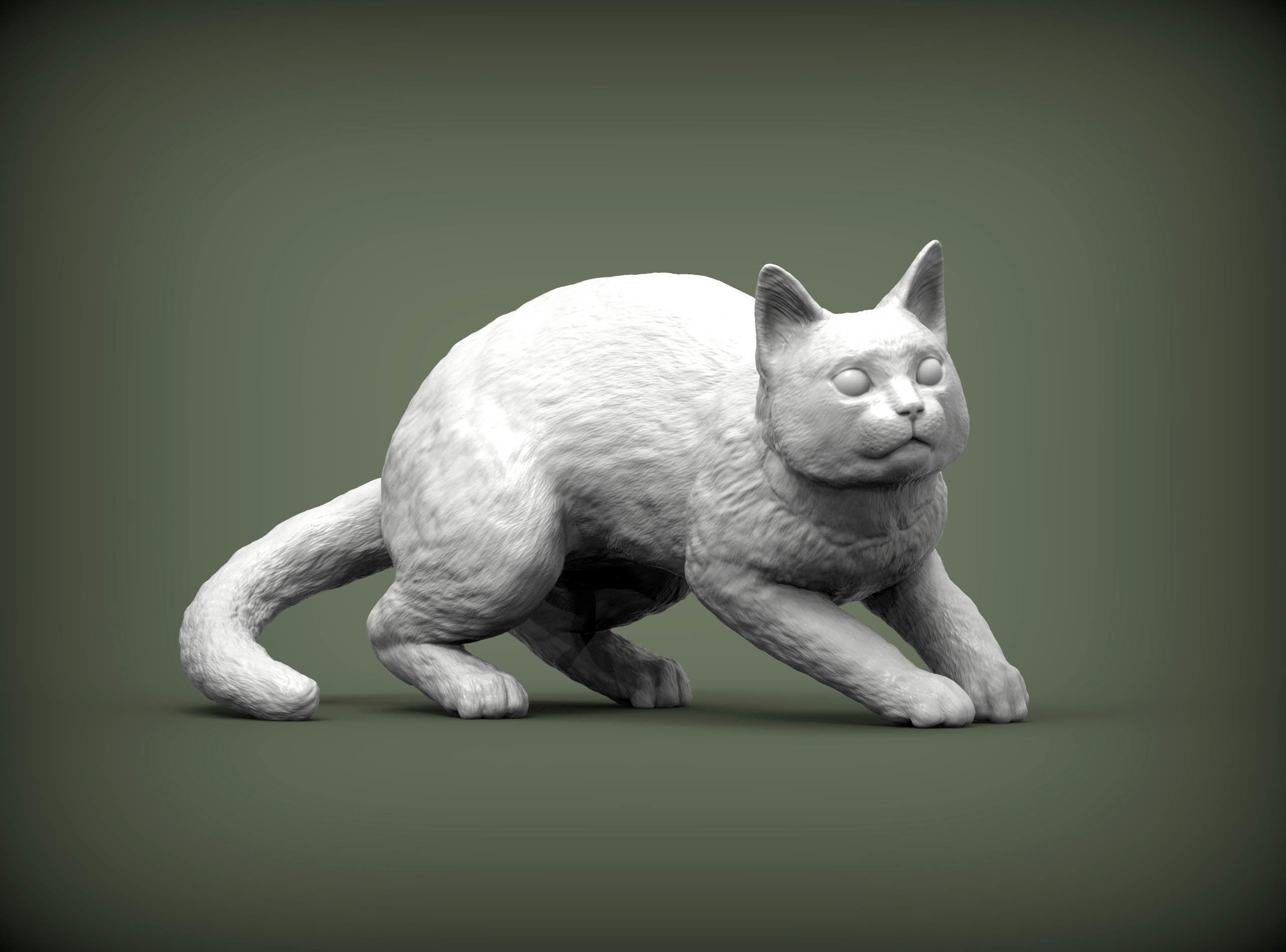 cat before the jump 3D print model_5