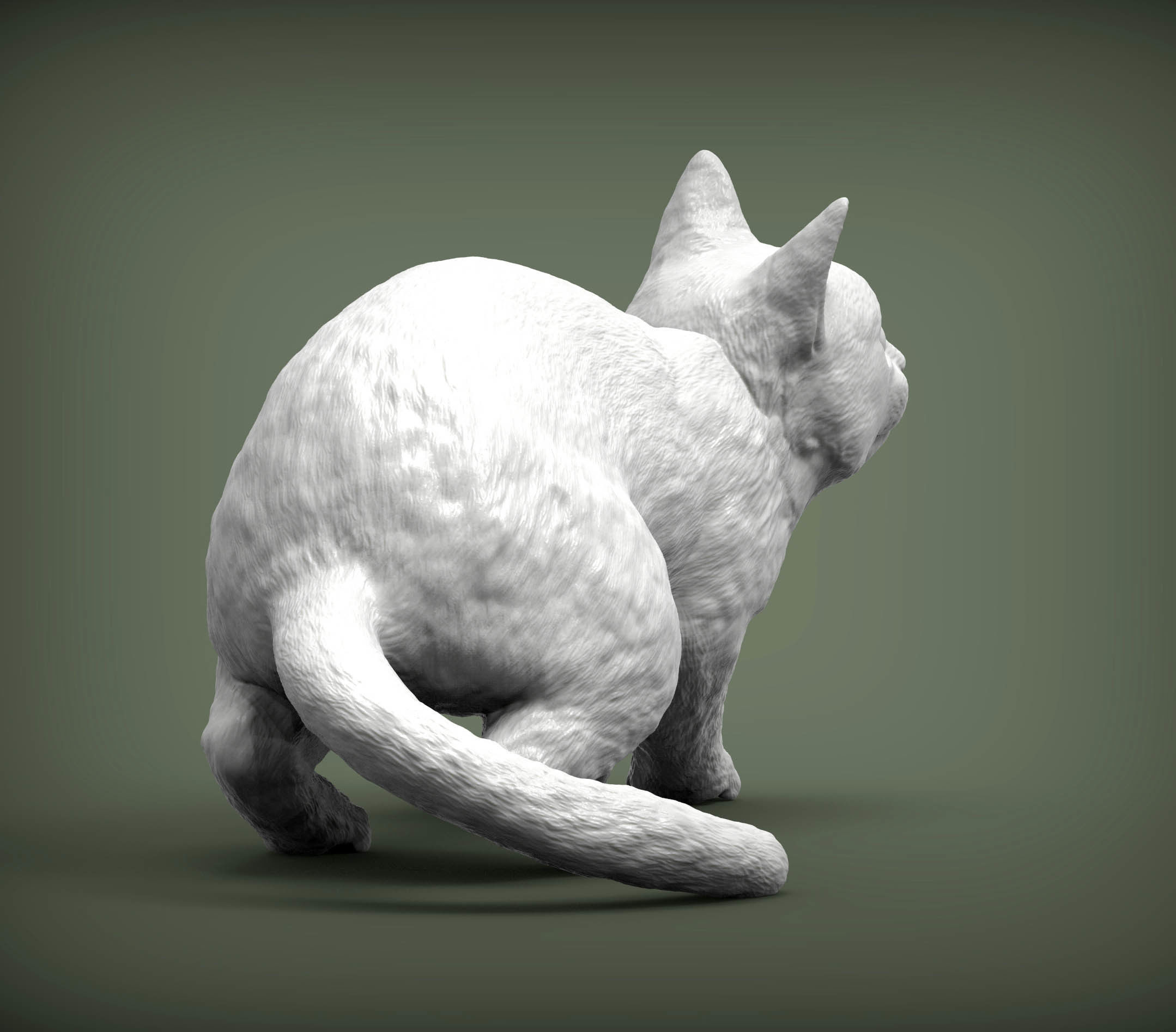 cat before the jump 3D print model_7