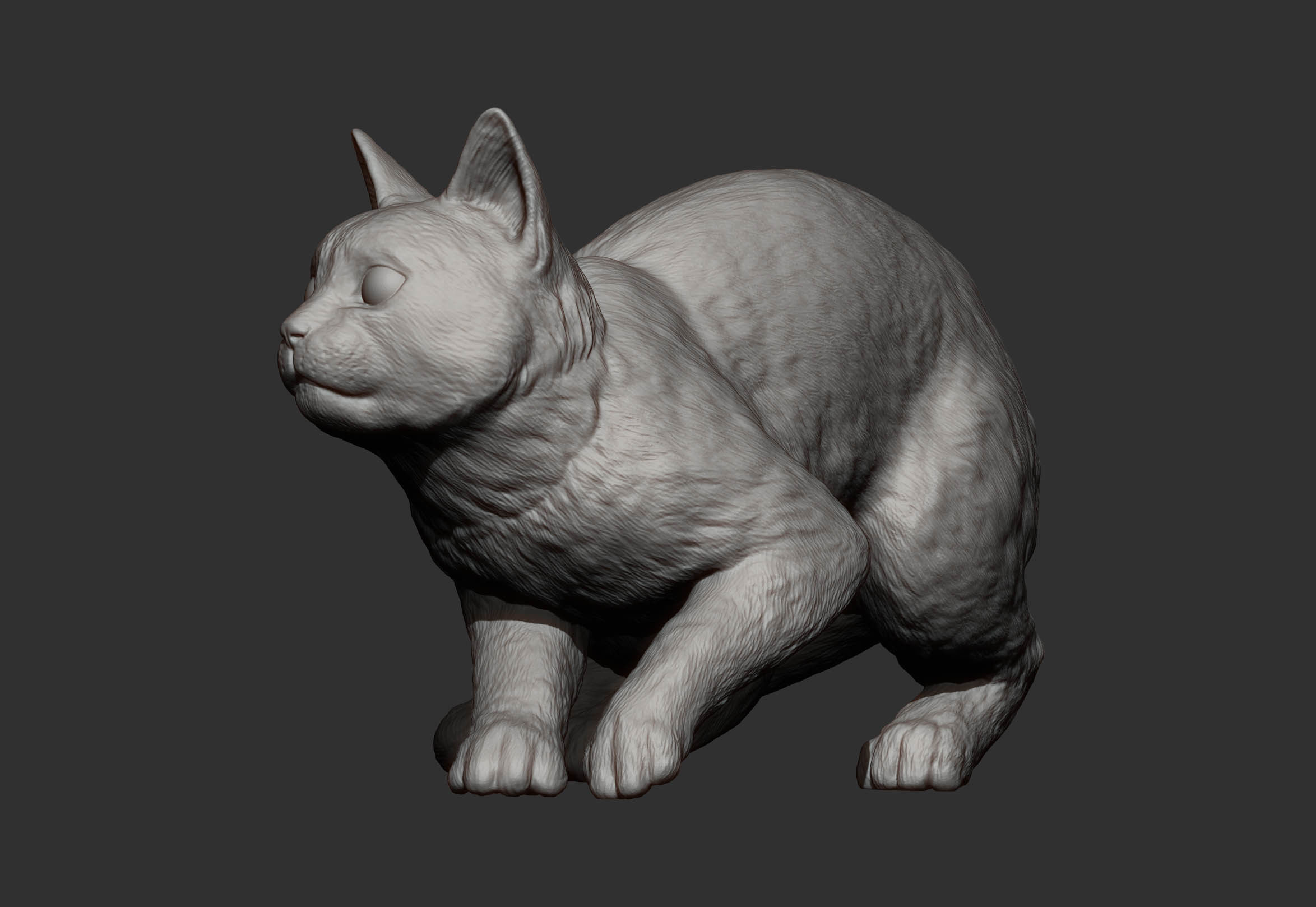 cat before the jump 3D print model_10
